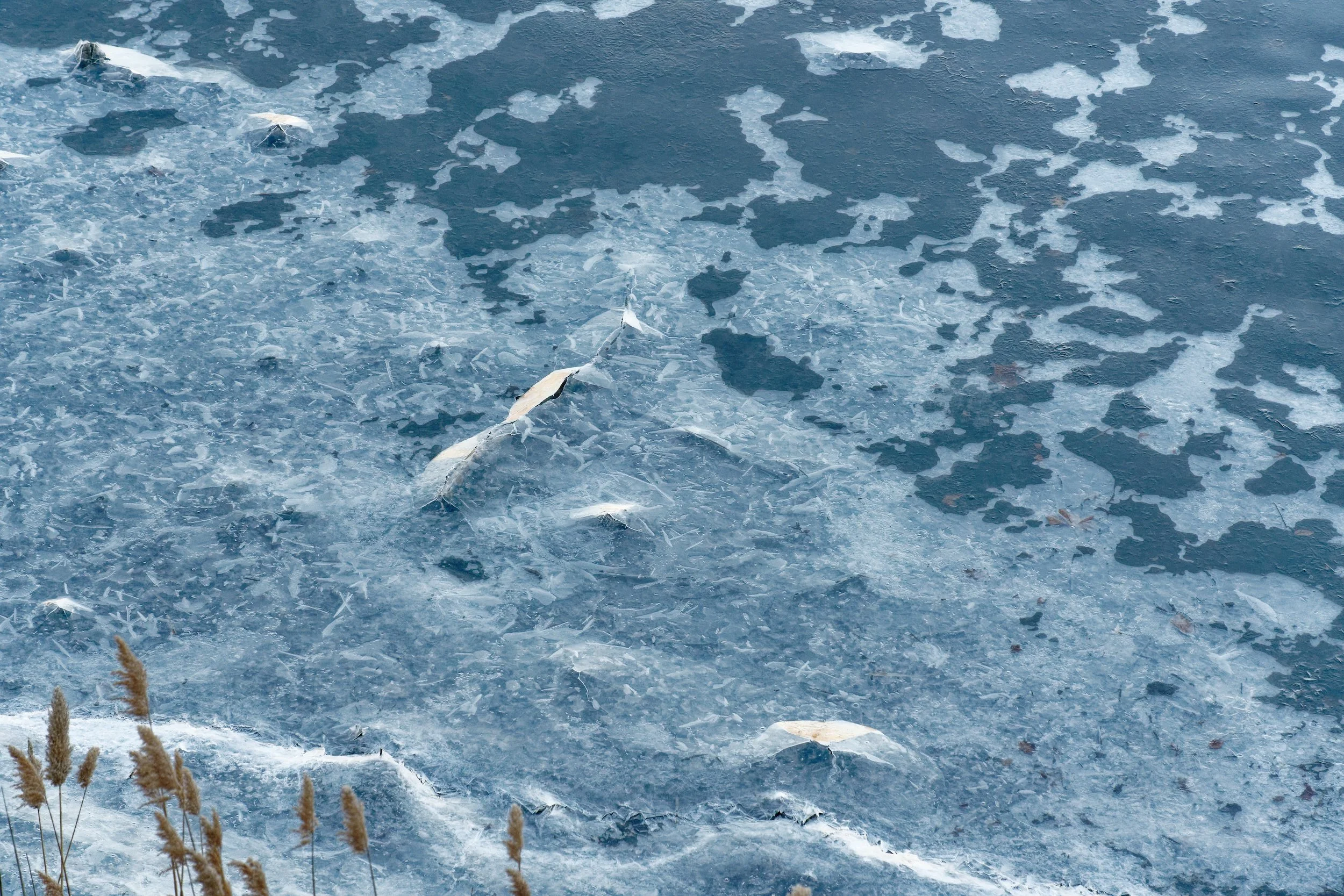 Winter Ice-16_DxO.jpg