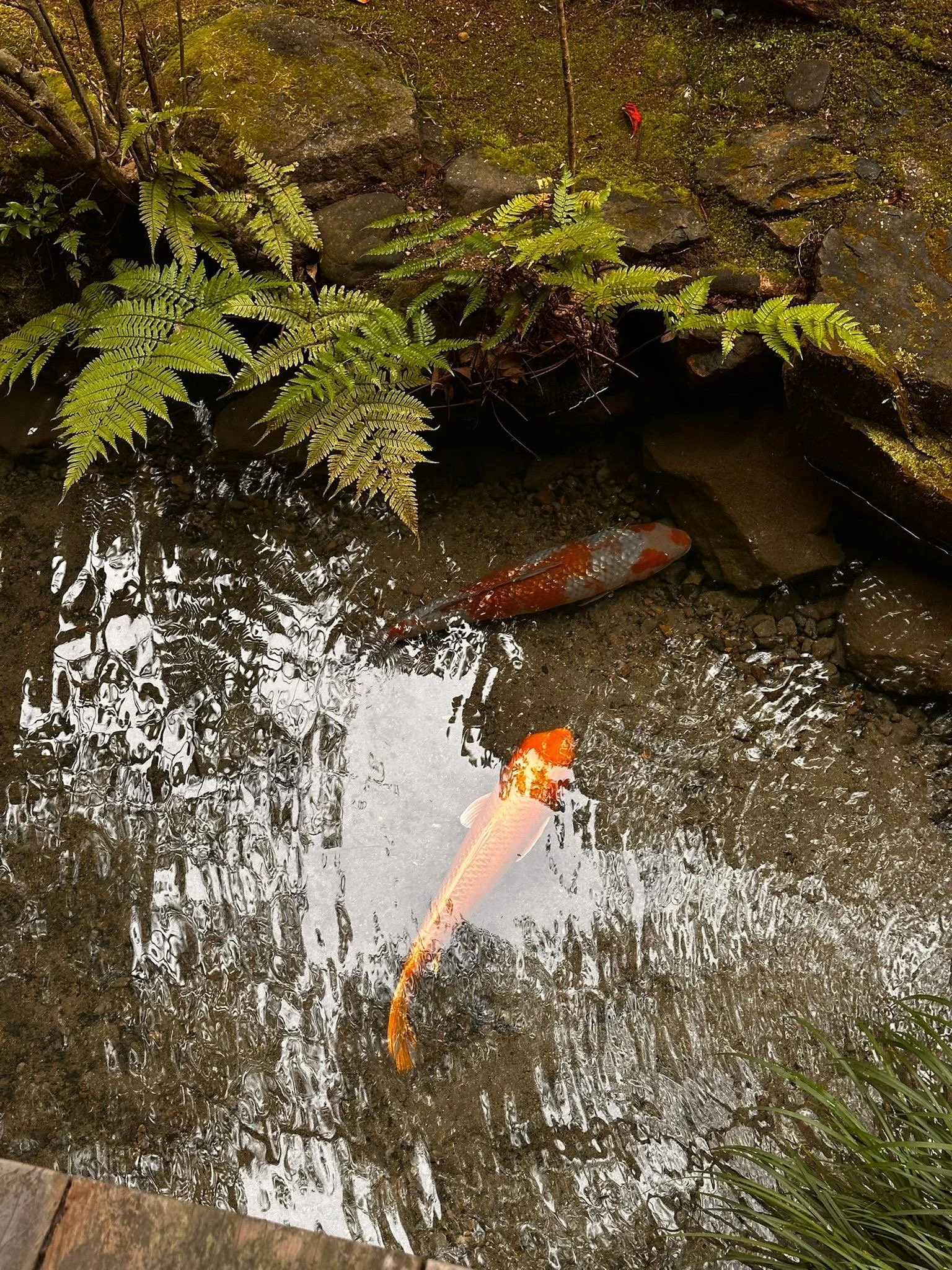 c40741f6-49c6-421a-9a2a-98c20b22277d 2.JPG