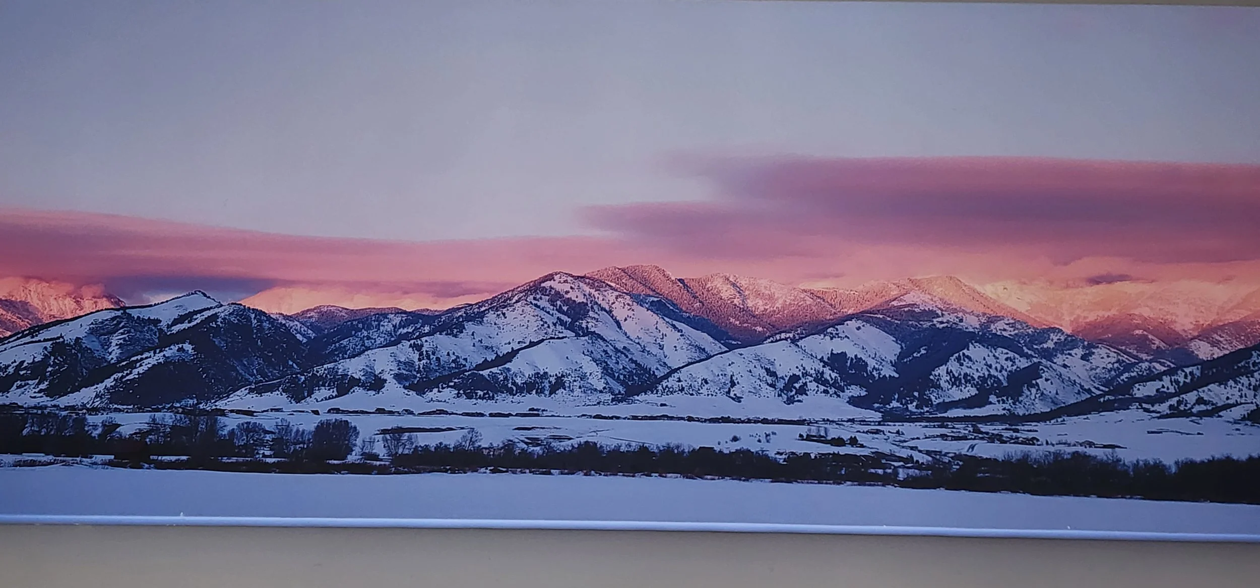 March 2026 Newsletter