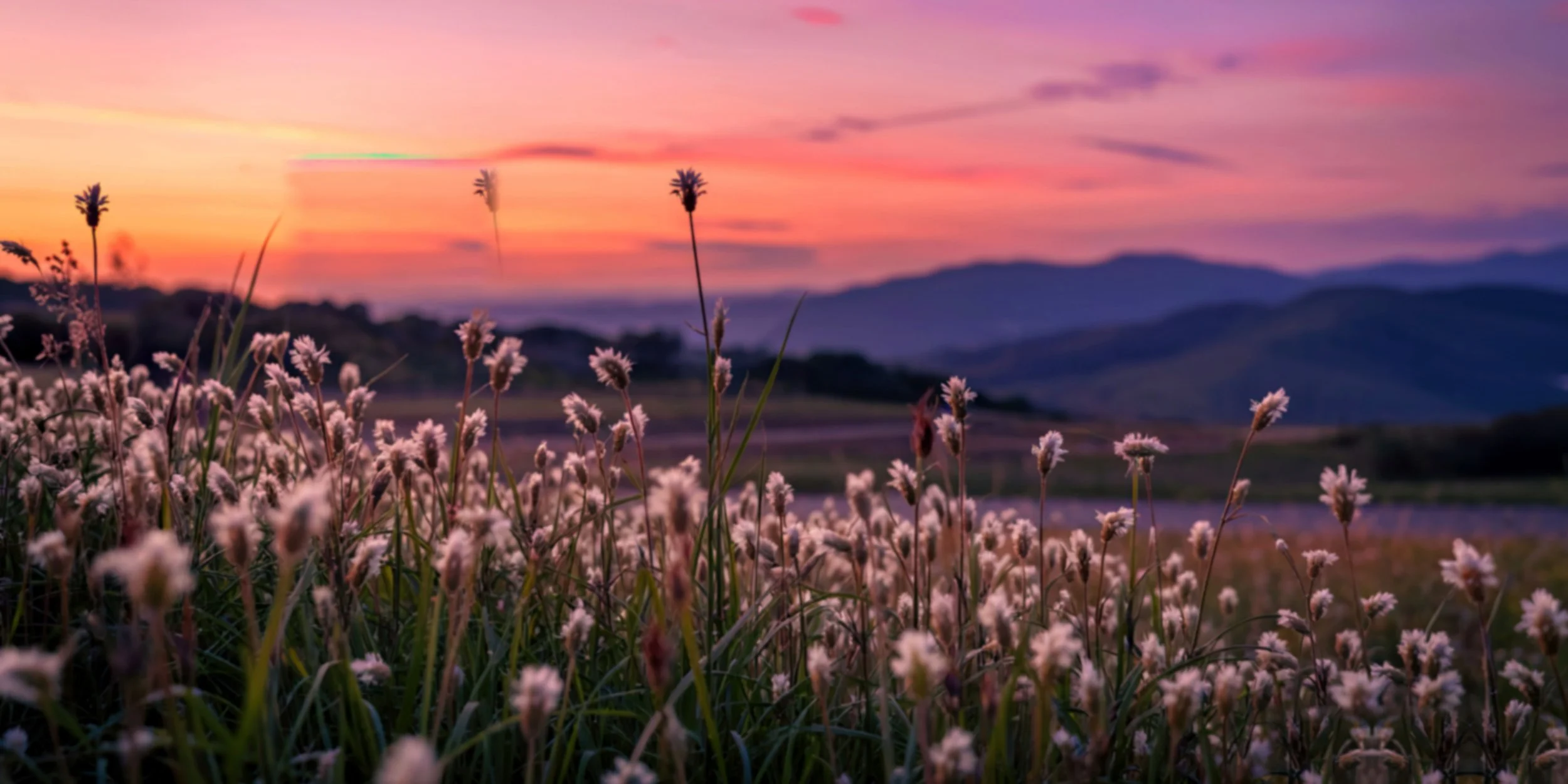August 2026 Newsletter