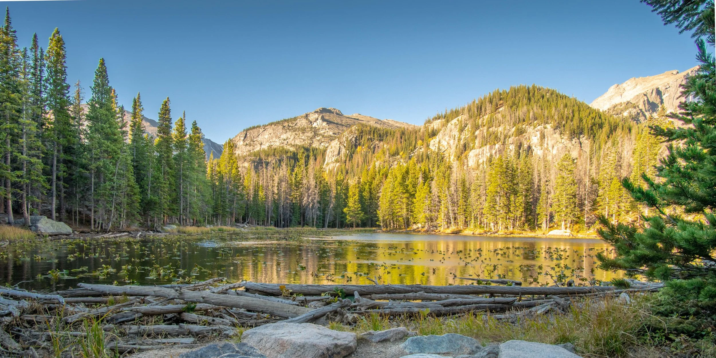 NAMI MT September Newsletter cover image of montana landscape