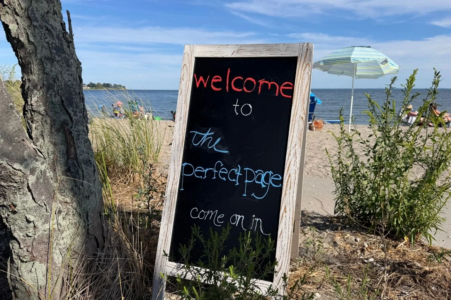 Book Truck at Southport Beach