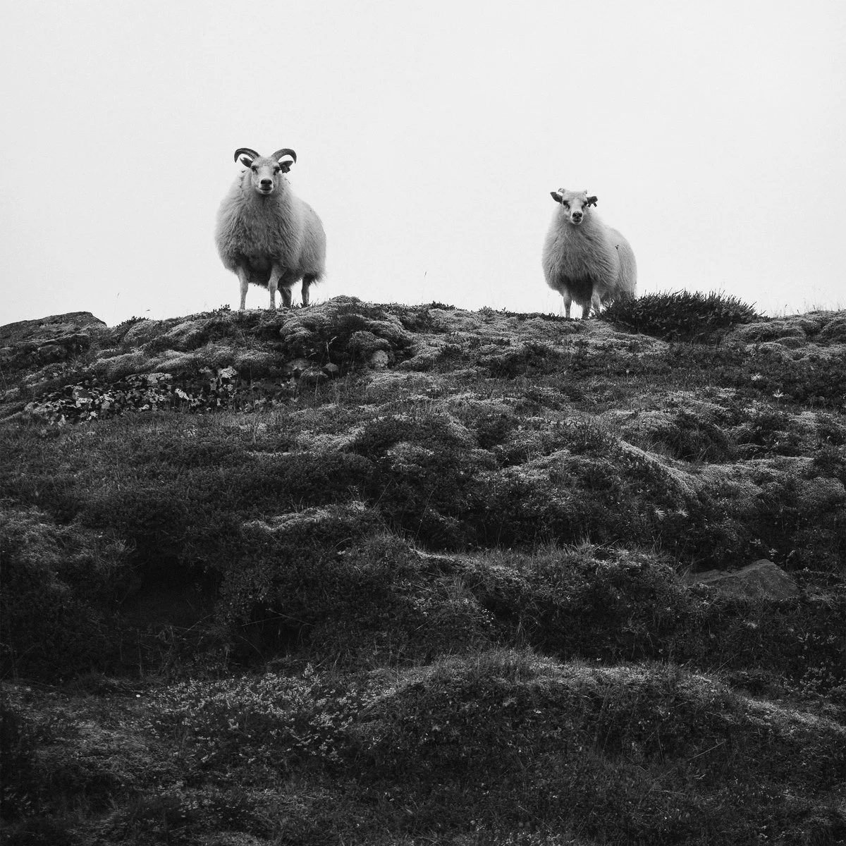 EiK album "TIKS 097"