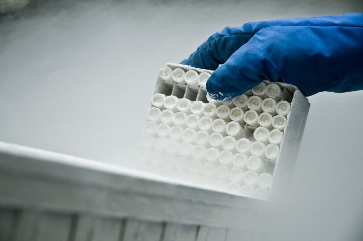 A blue glove handling a box of frozen specimens stored in LN2, holding a box of small, round, white objects.