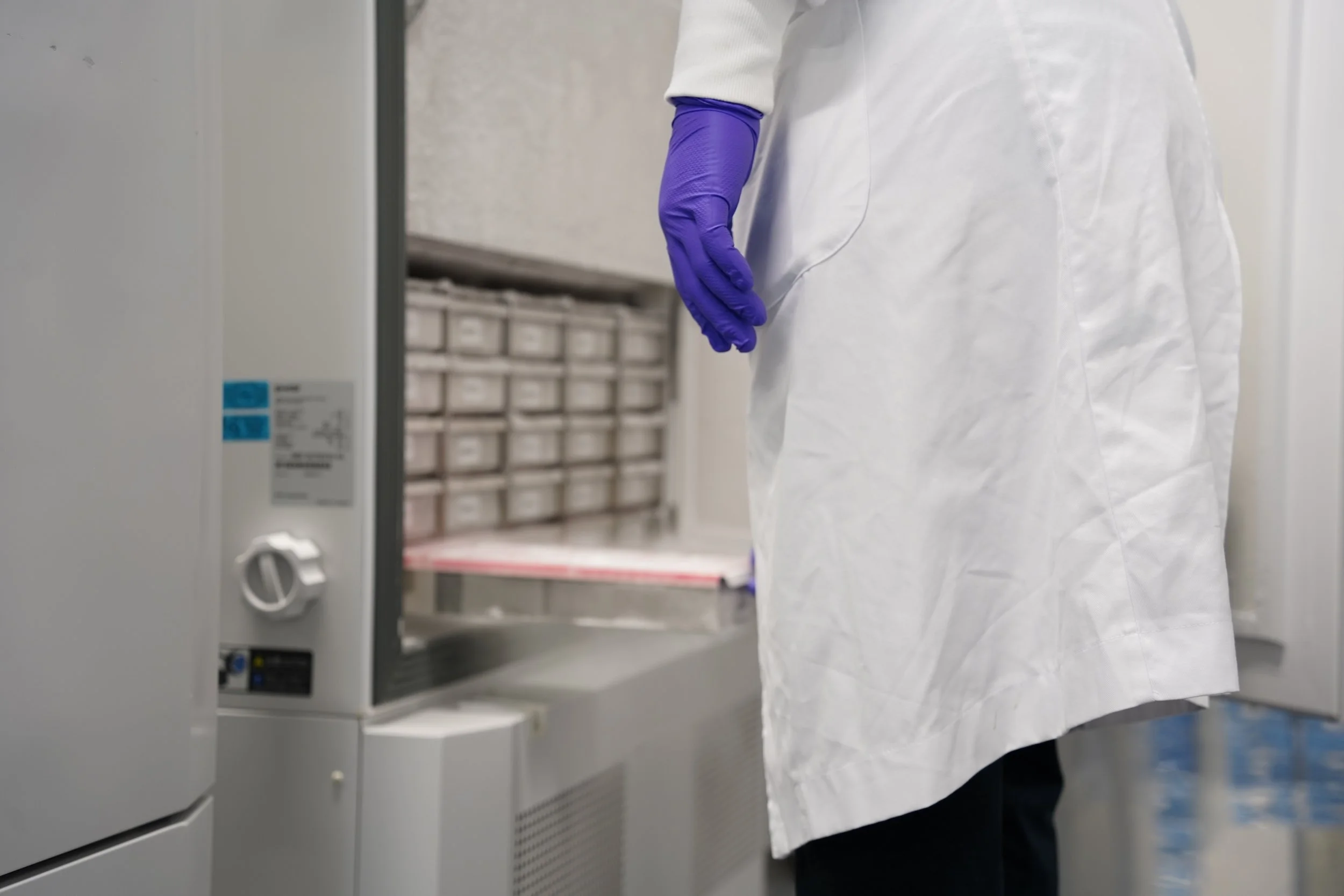 Person wearing purple gloves and a white lab coat working with a laboratory freezer, -80C