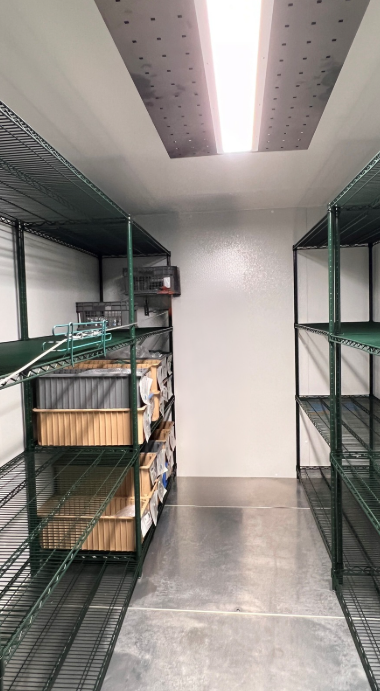 Empty metal shelving units in a storage room with fluorescent ceiling light.