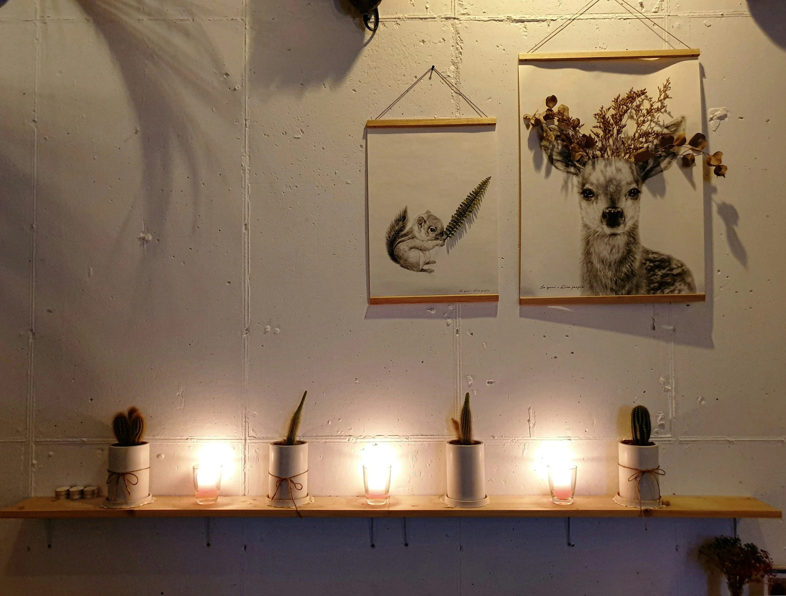 Pet Aftercare Options: Understanding Cremation, Aquamation, and Burial
