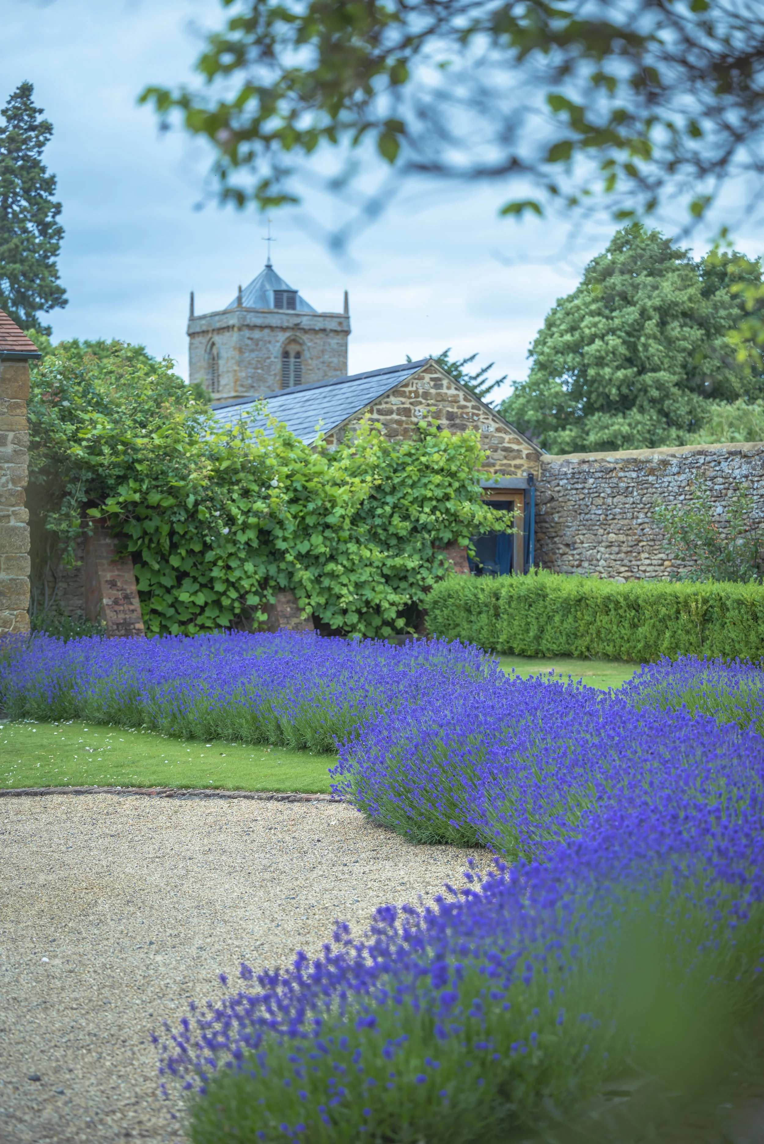 Mr & Mrs Fiorention (6 of 482).JPG