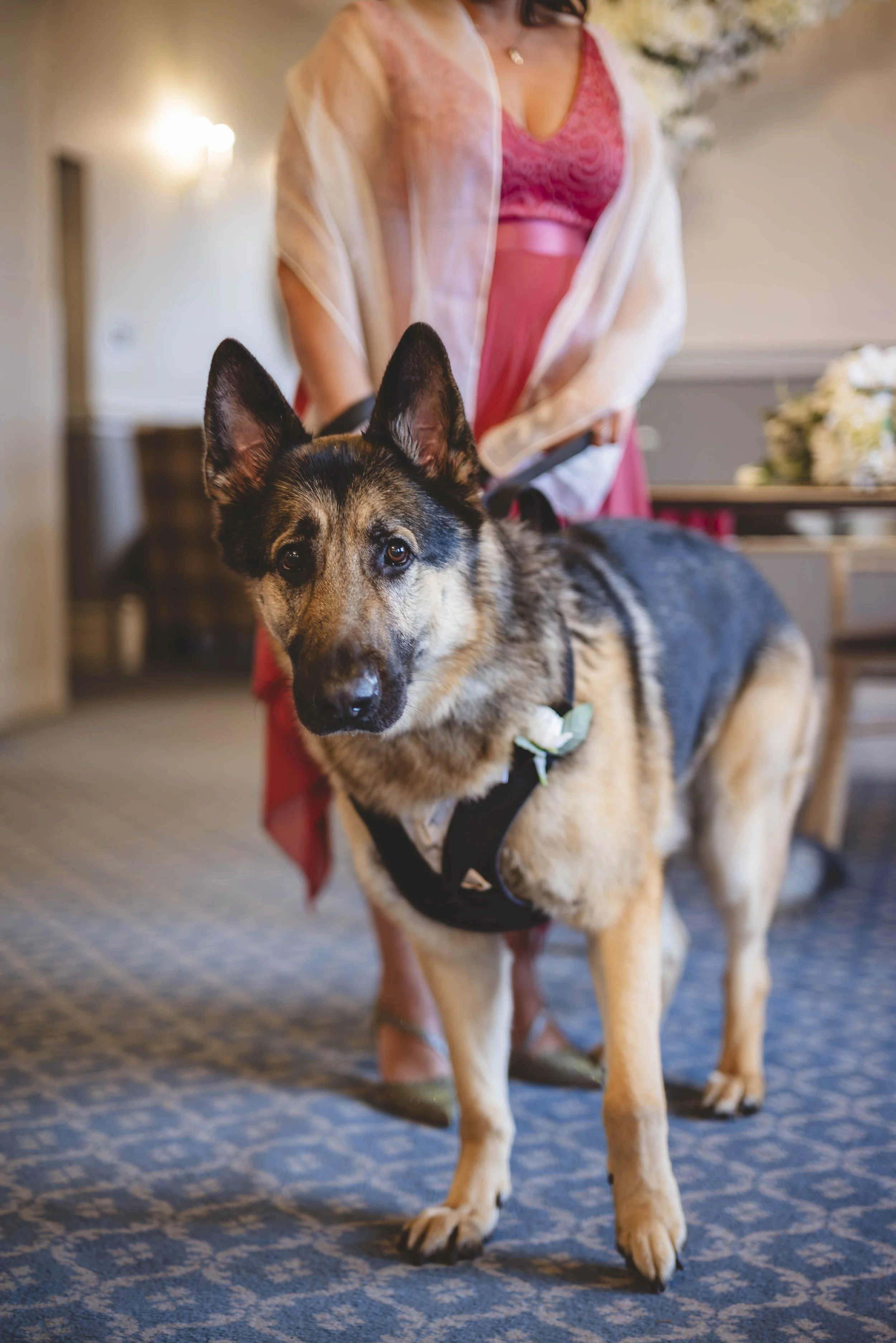 Documentary wedding photographer at Weston hall Stafford Staffordshire, candid couple moment in grade ii listed manor

Weston Hall's Grade II listed Staffordshire manor house brings centuries of character to every wedding day. Documentary photography