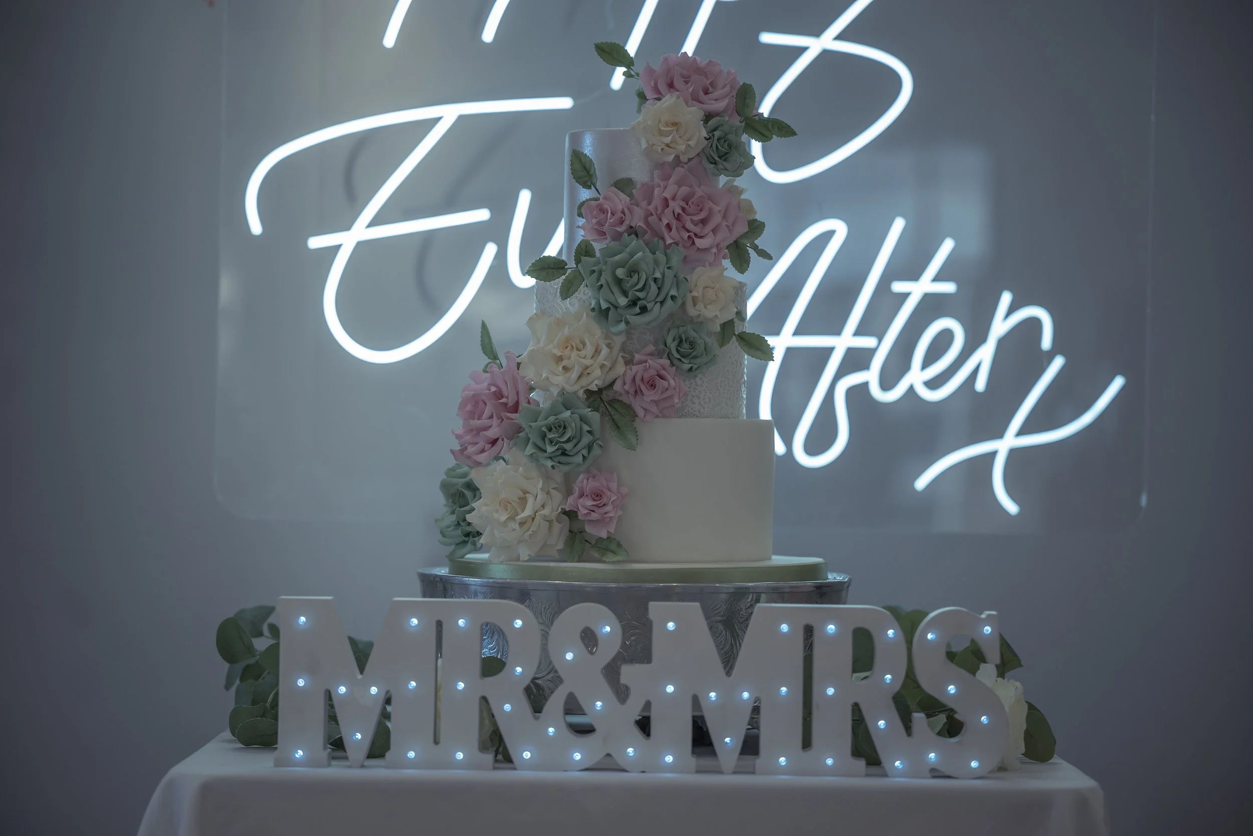 Mr & Mrs Bailey (445 of 495).JPG