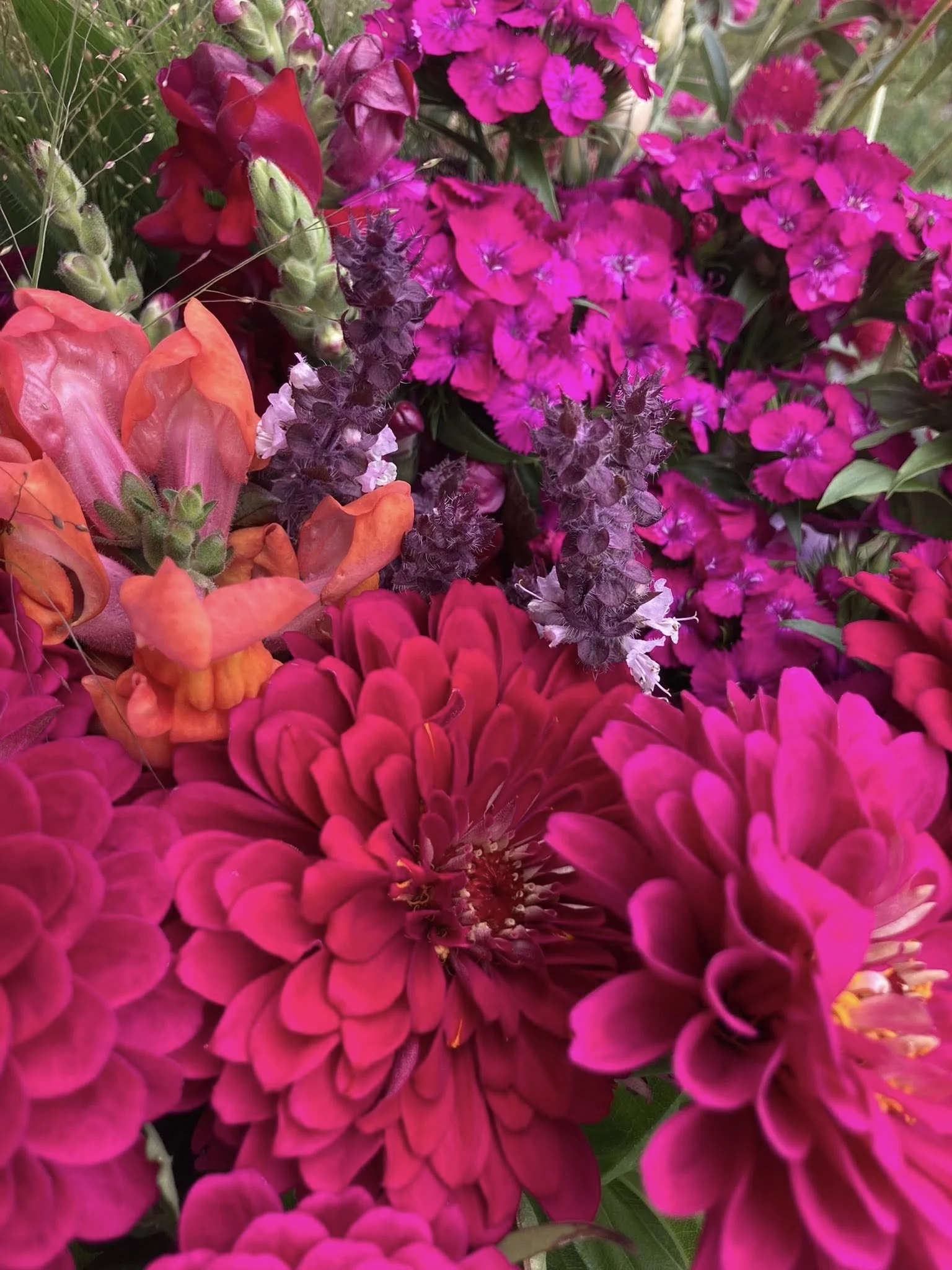 $20 Bouquet (from stand)