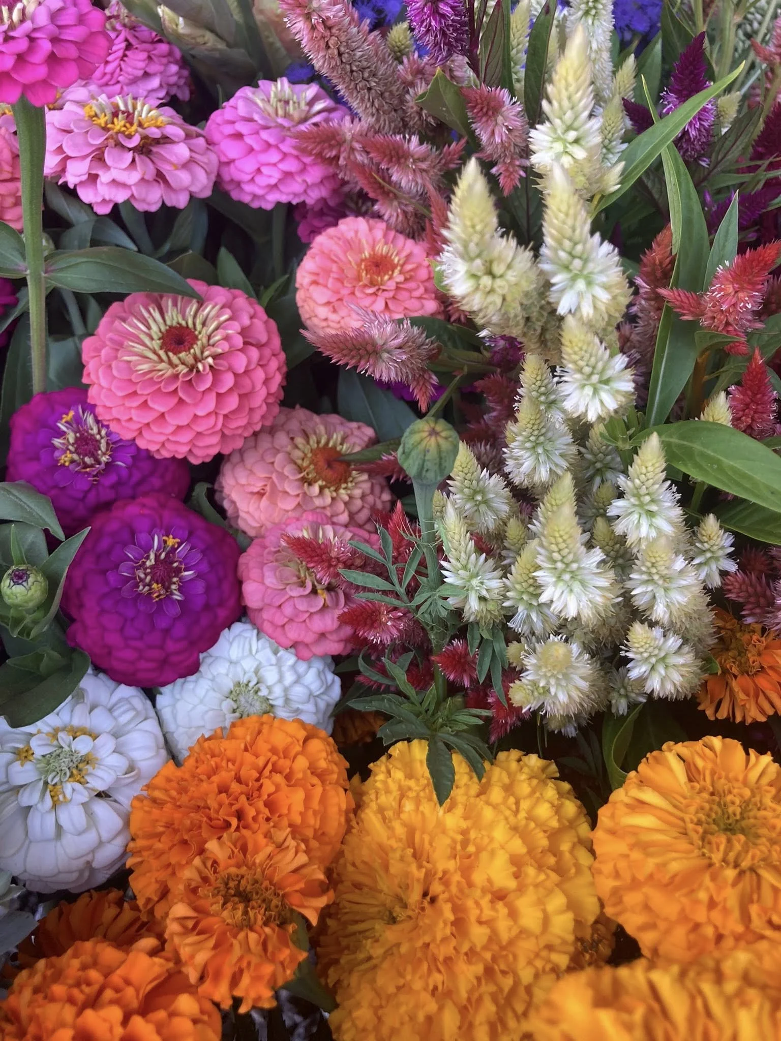 Bulk Florals at Country Joy Flowers u-pick farm in Central PA.