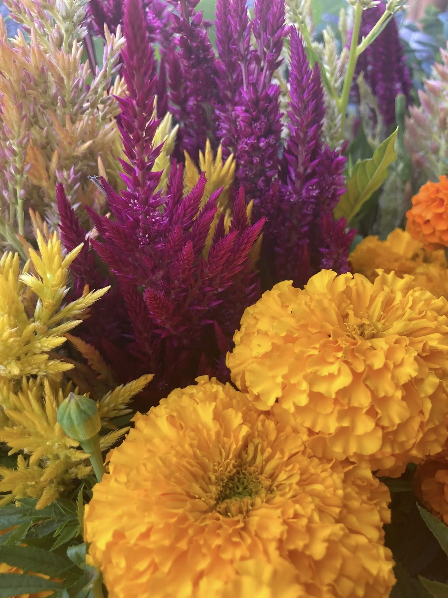 $10 Bouquet (from stand)