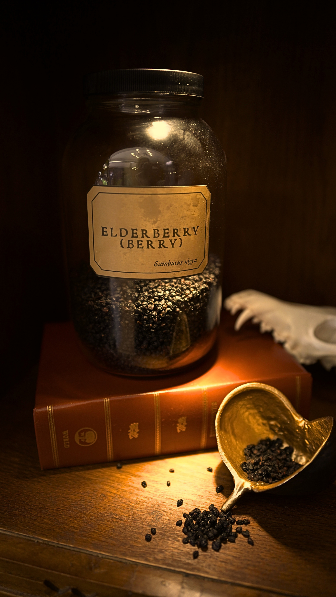 Elderberry