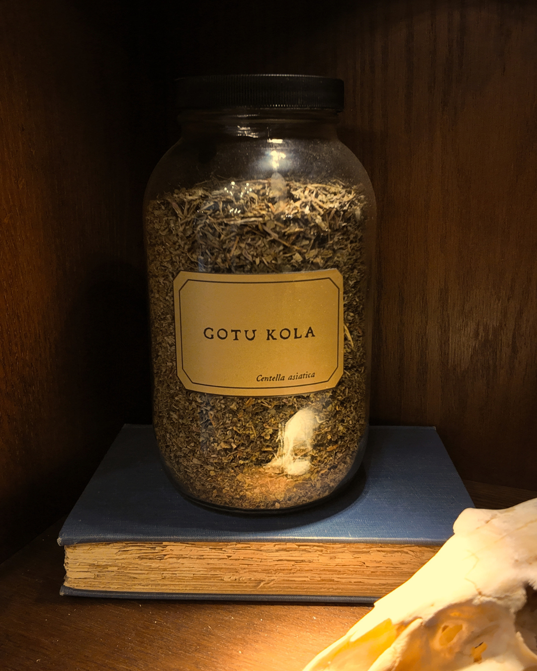 Gotu Kola