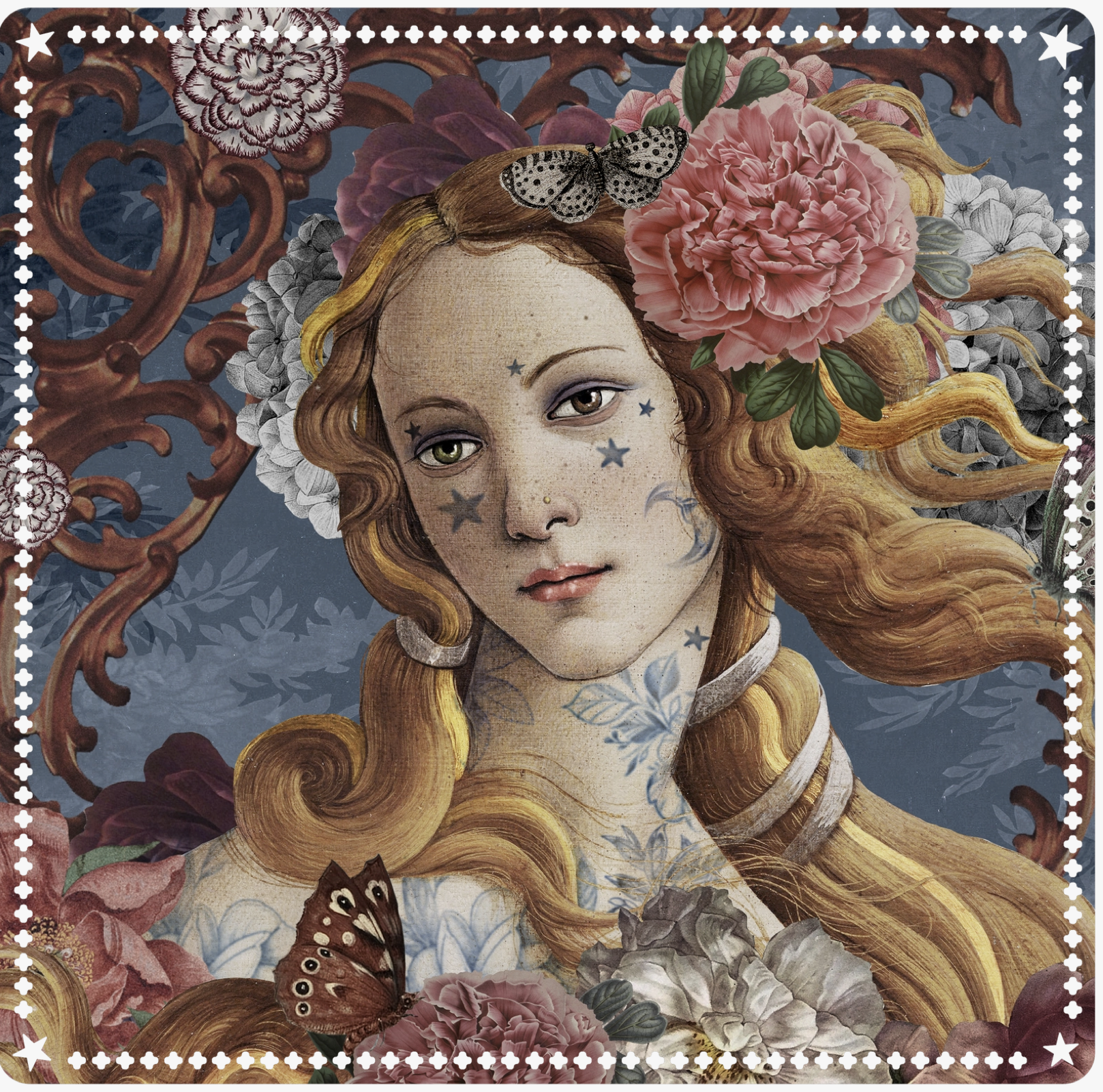 Venus Drawing Mat