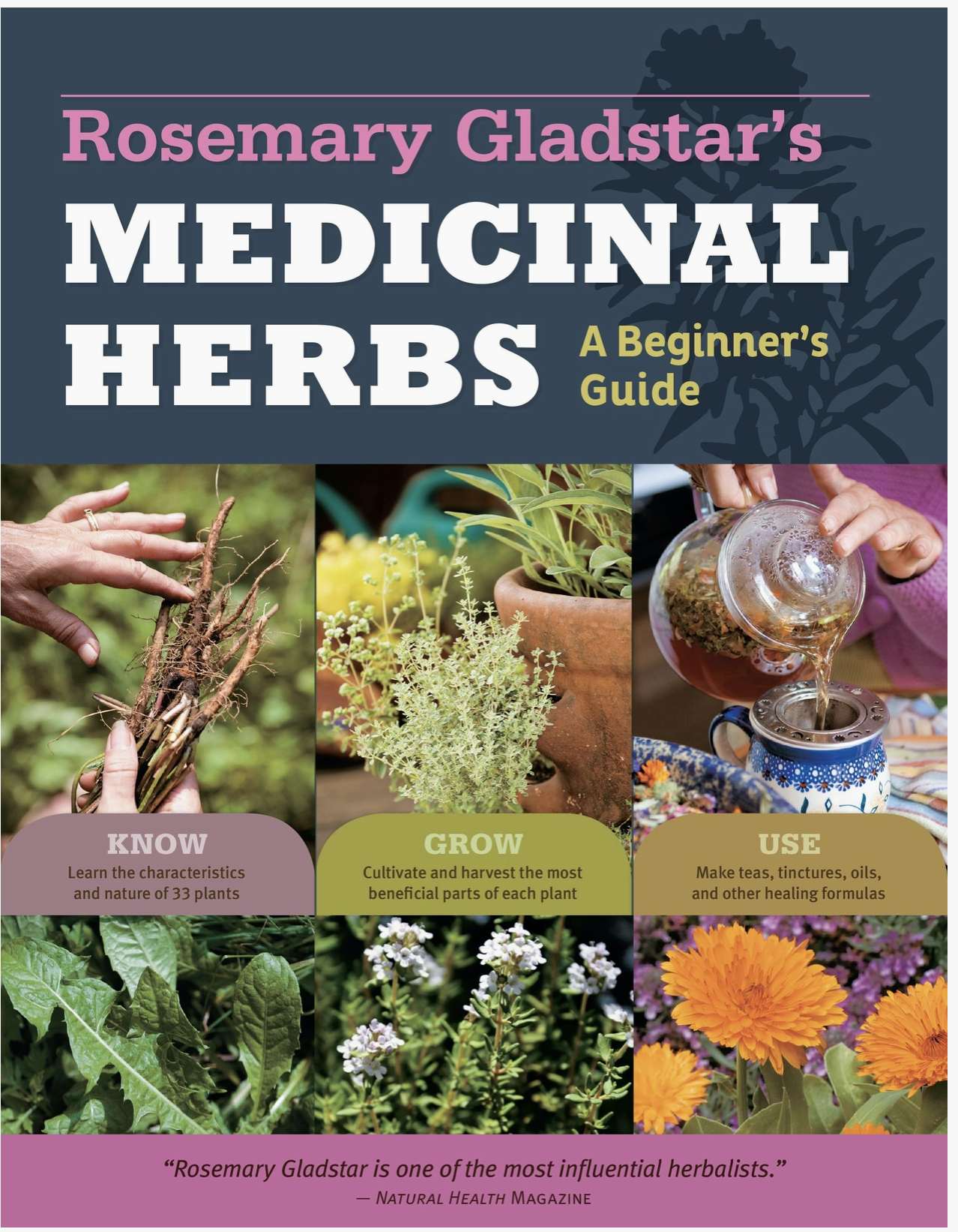 Rosemary Gladstar's Medicinal Herbs: A Beginner's Guide