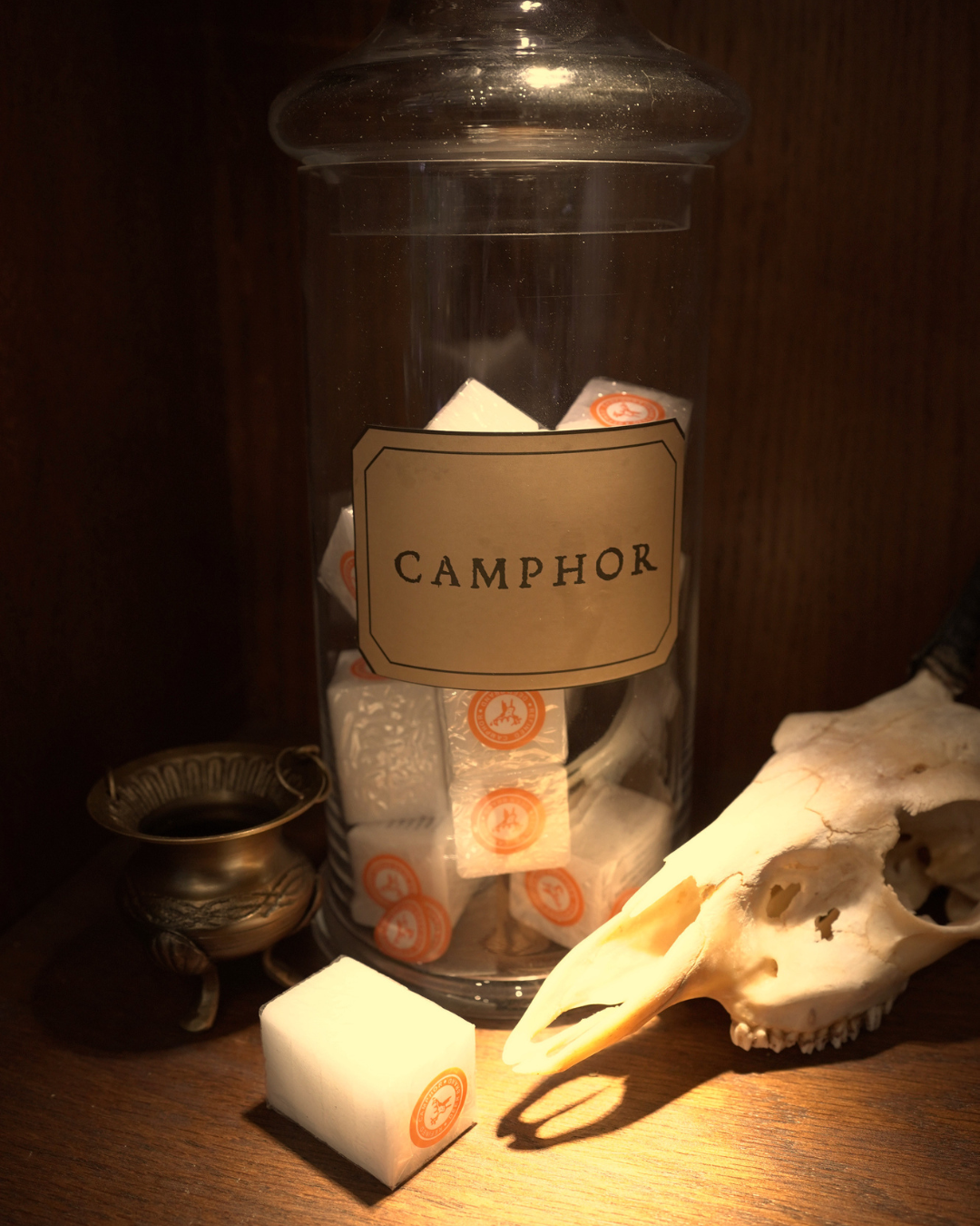 Camphor (4 per pack)