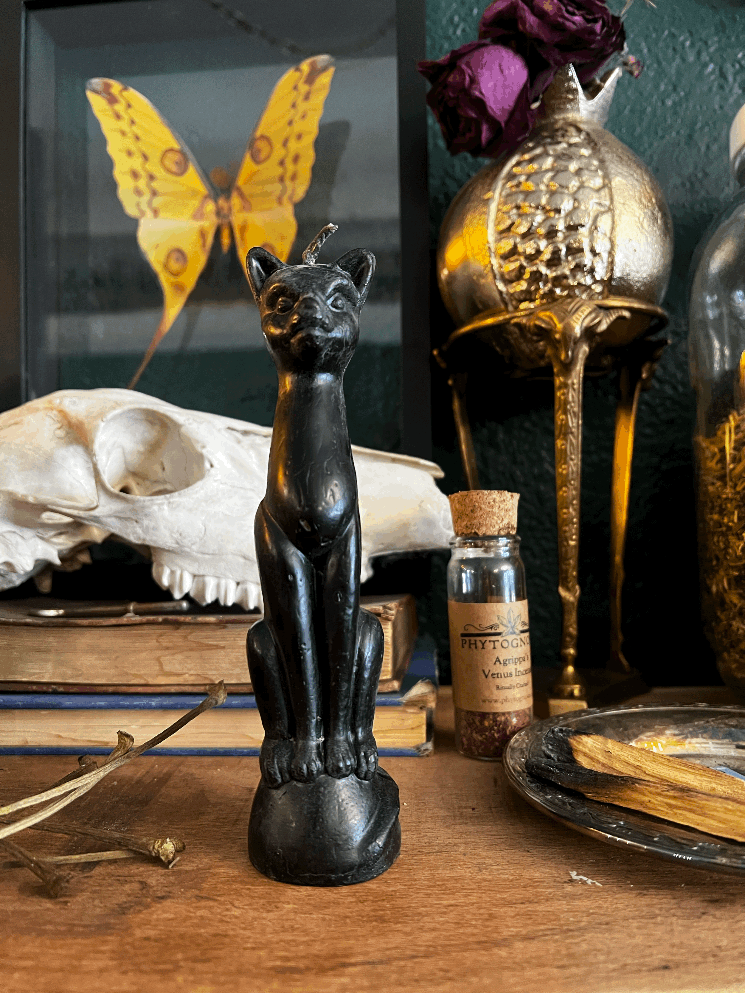 Cat figure candle - Black