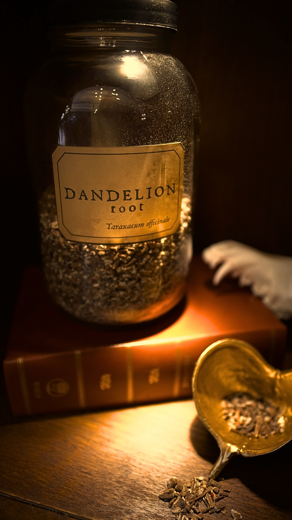 Dandelion Root