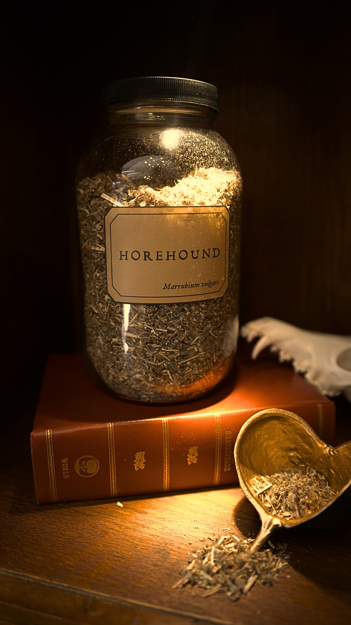 Horehound