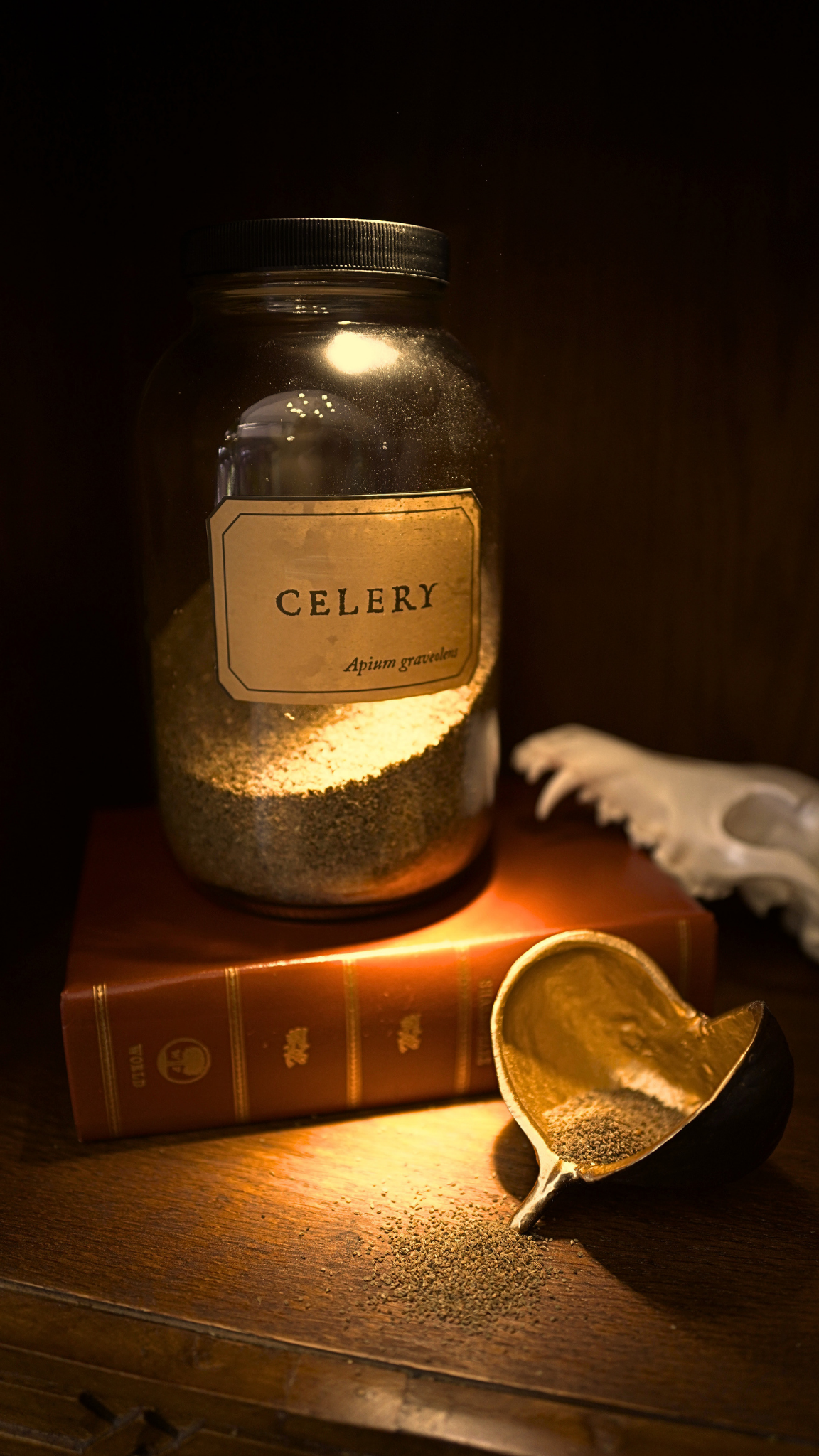 Celery Seed