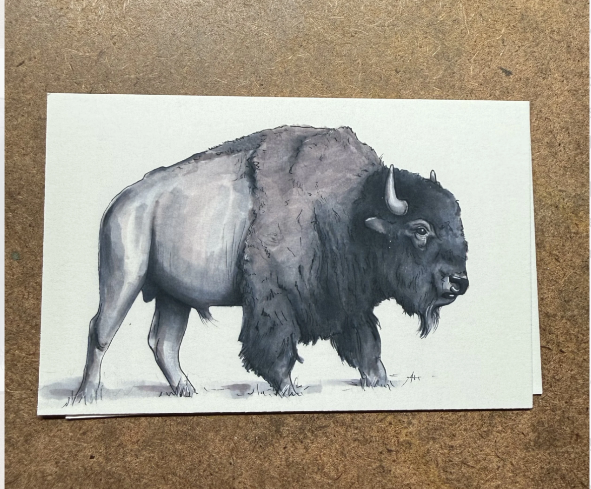 The Buffalo Prayer Card