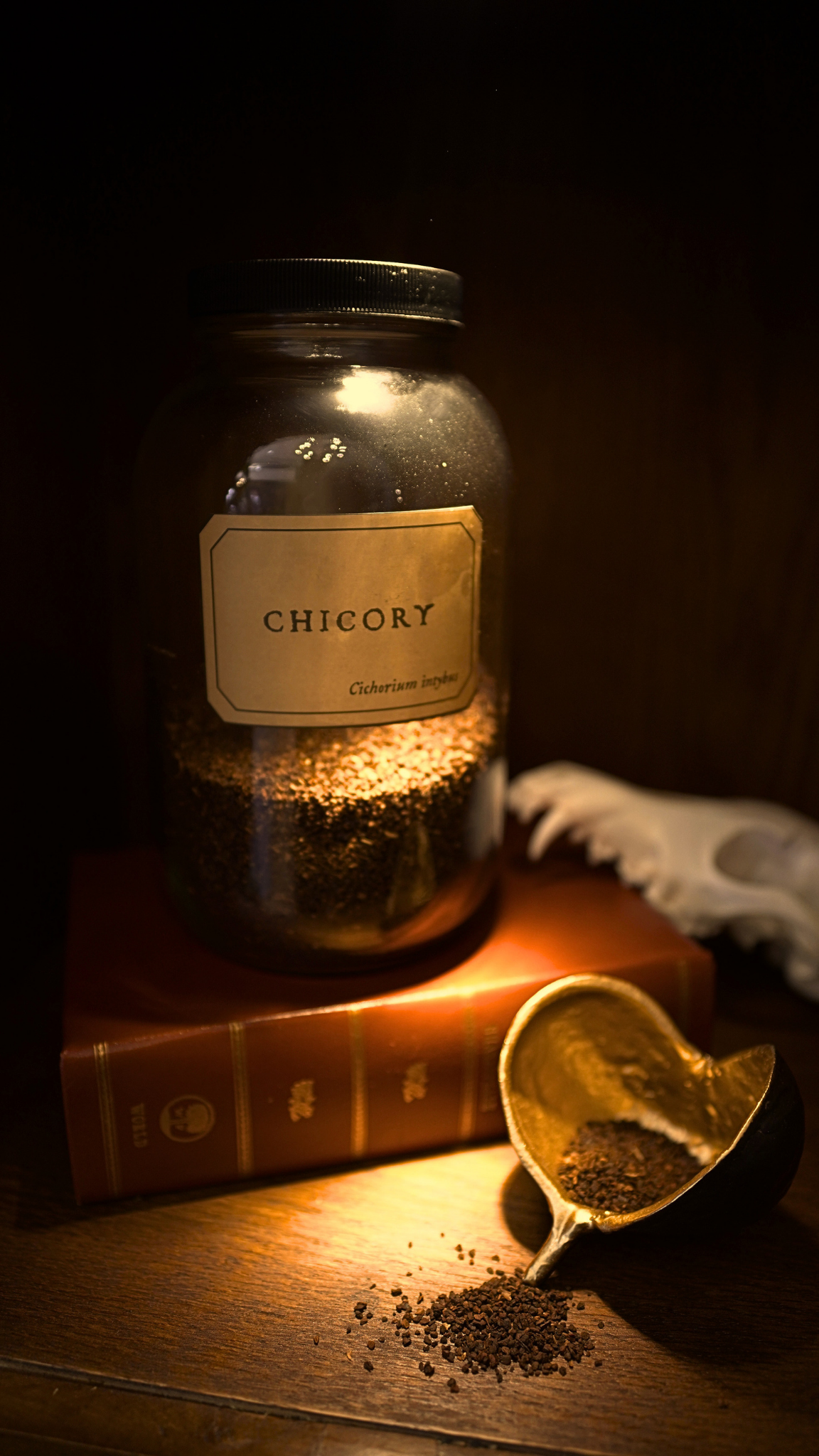 Chicory Root