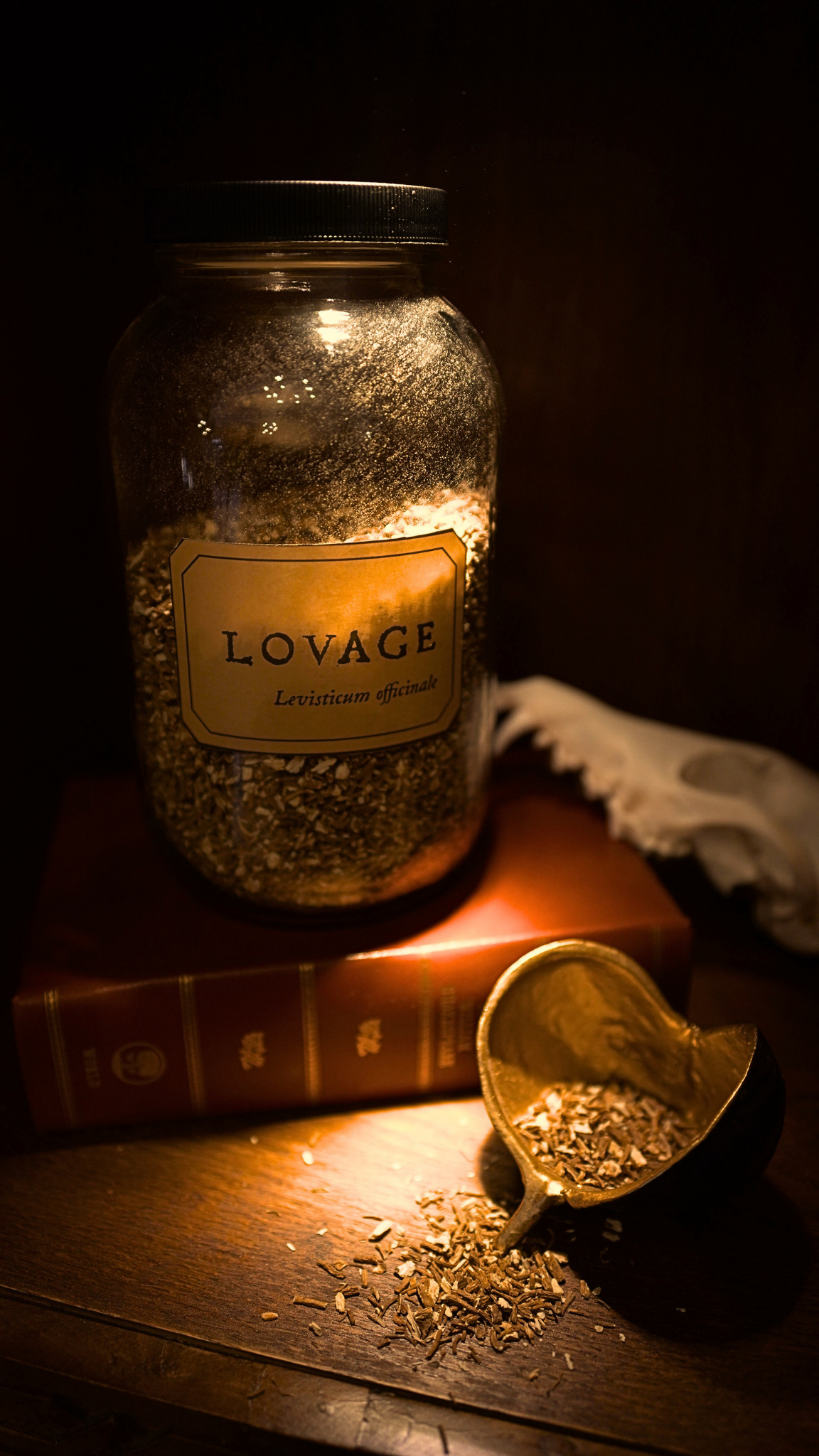 Lovage Root