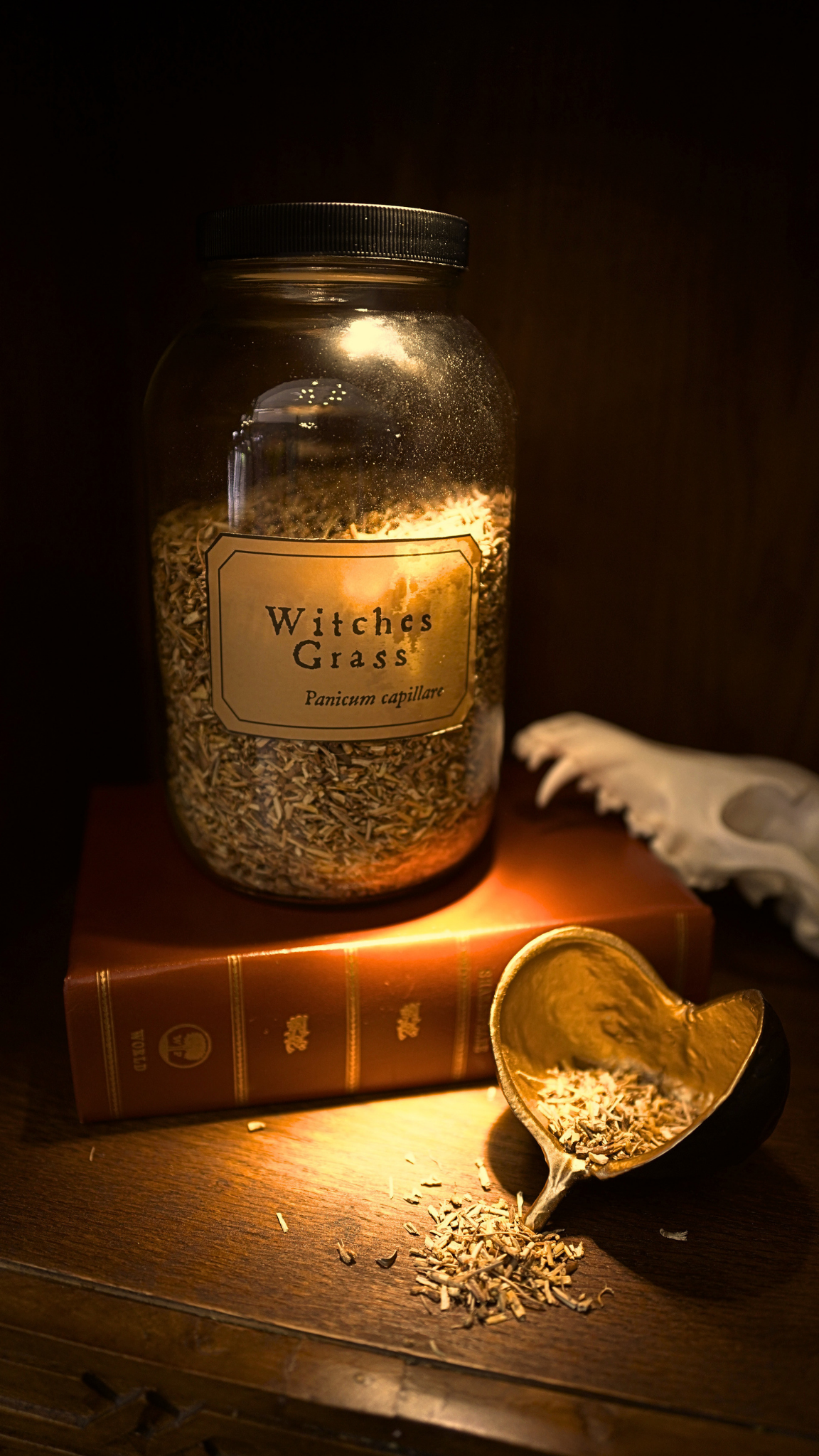 Witches Grass