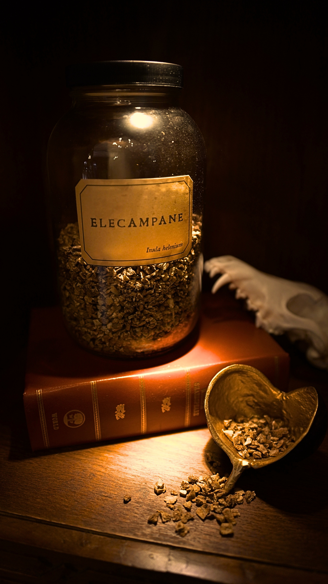Elecampane Root