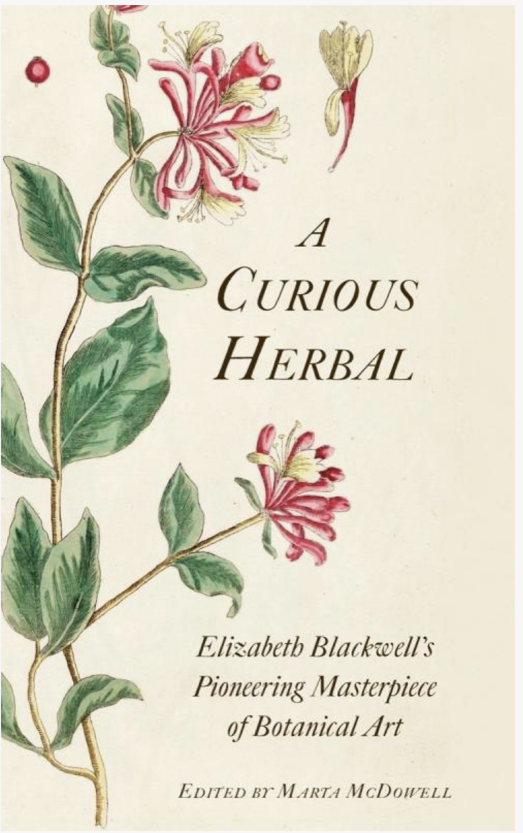 Curious Herbal