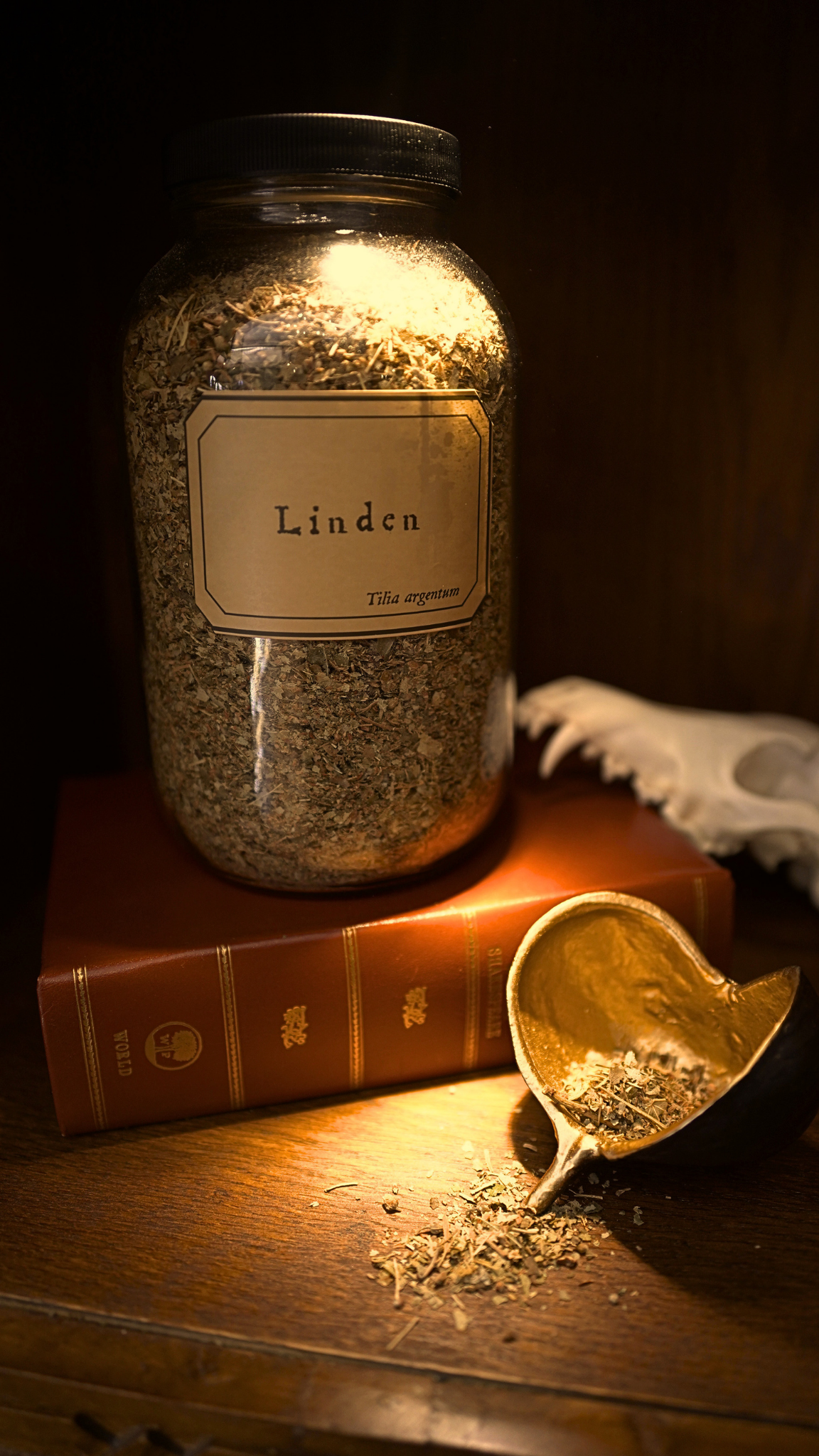 Linden Leaf & Flower