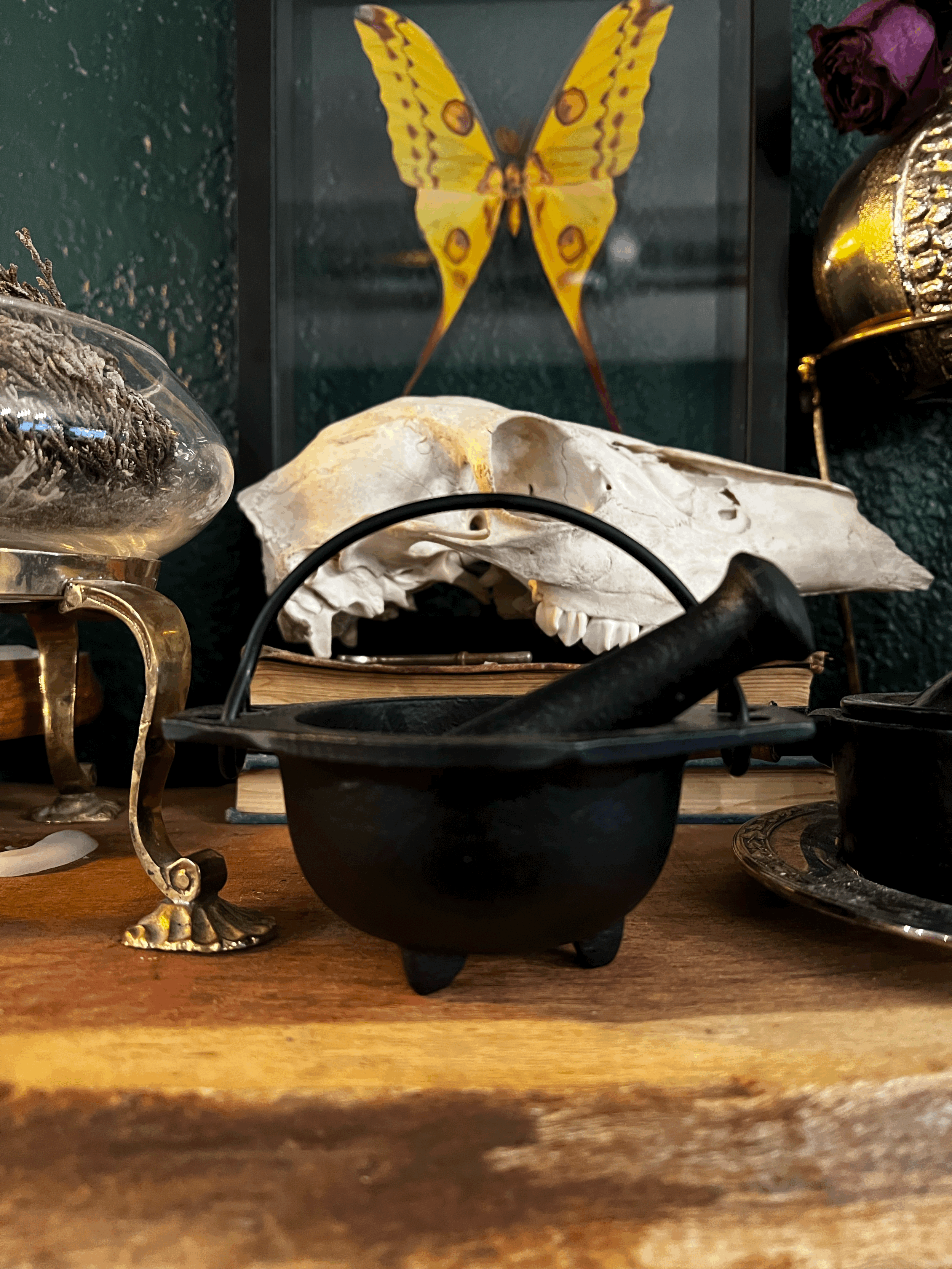 Cast Iron Cauldron w Pestle (small)