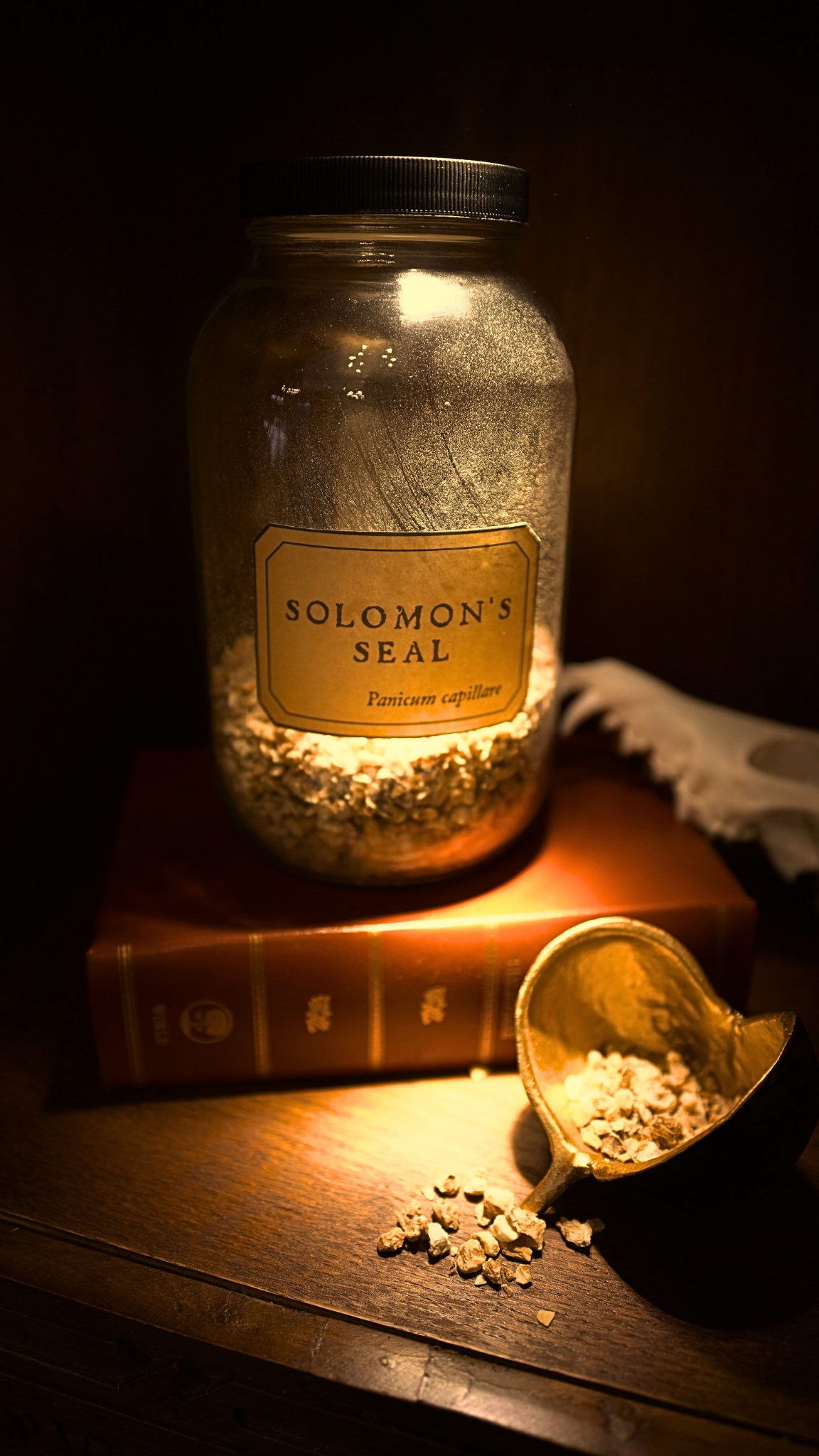 Solomon's Seal Root