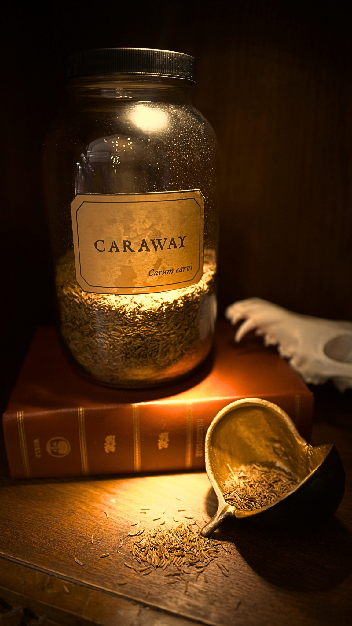 Caraway Seeds