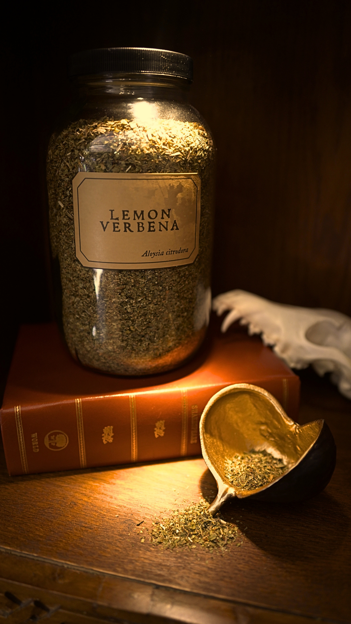 Lemon Verbena