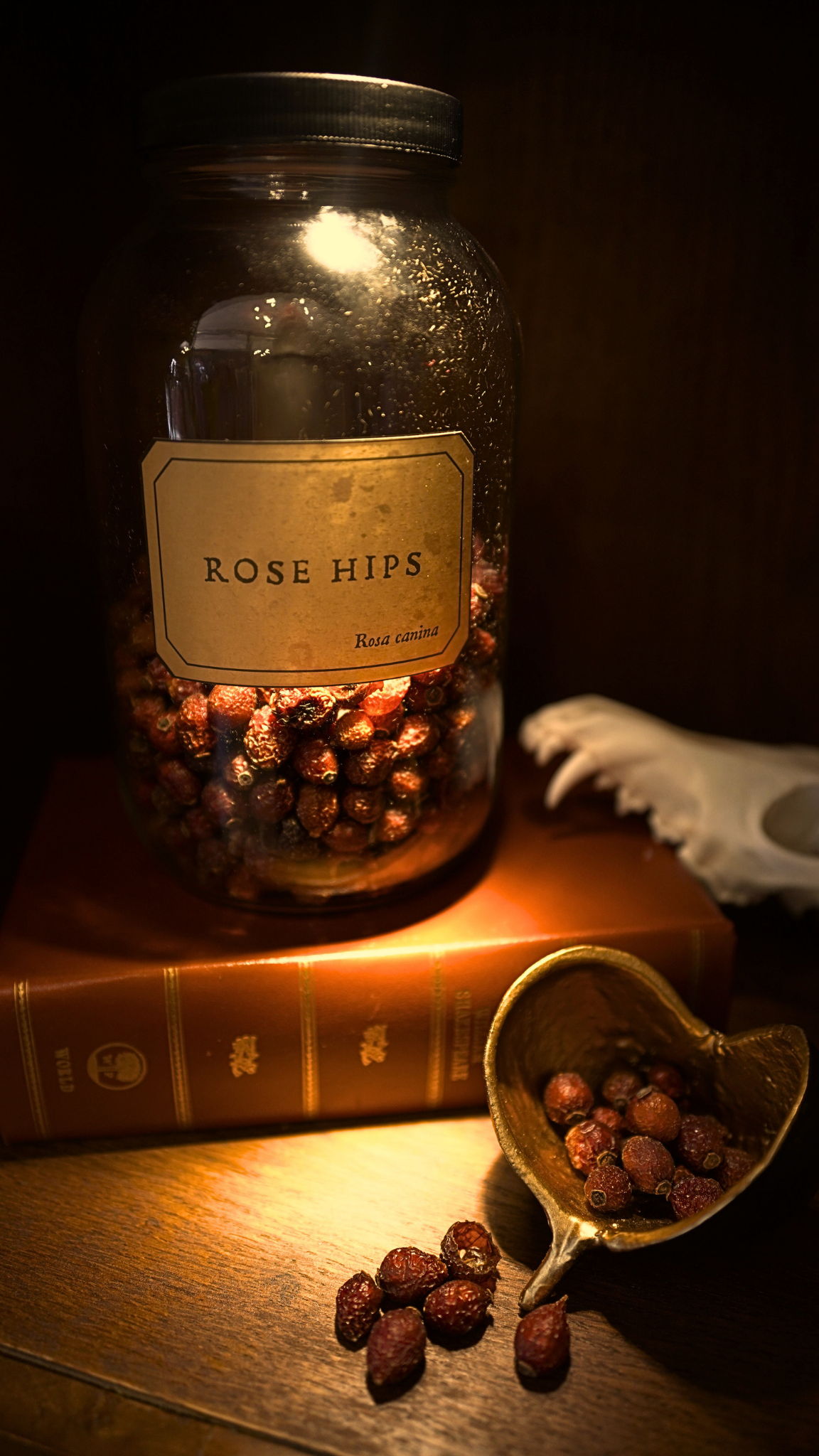 Rose Hips