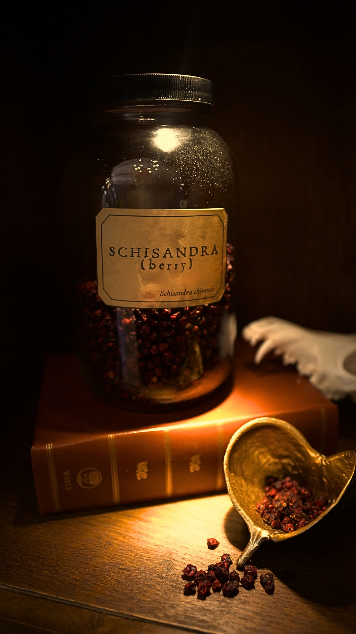 Schisandra Berry