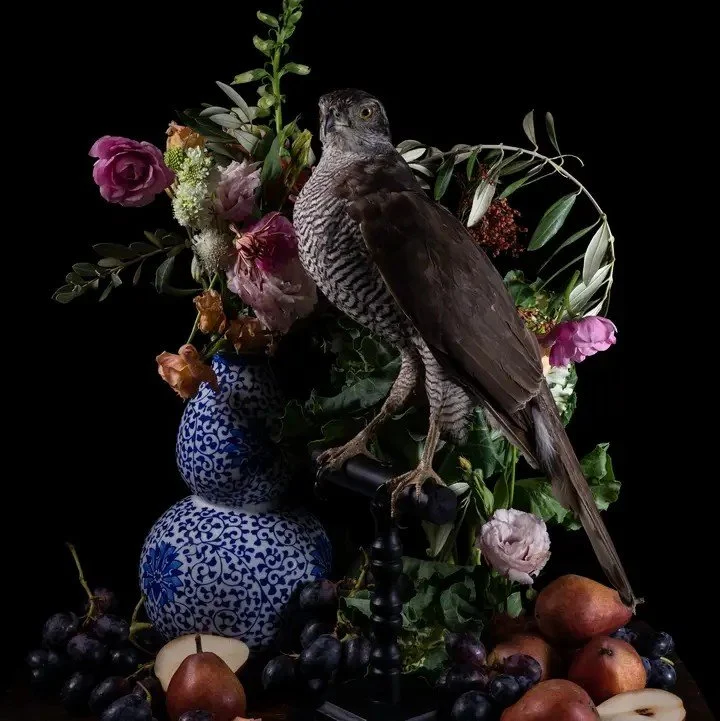 'Immortalis' - Fine Art Print