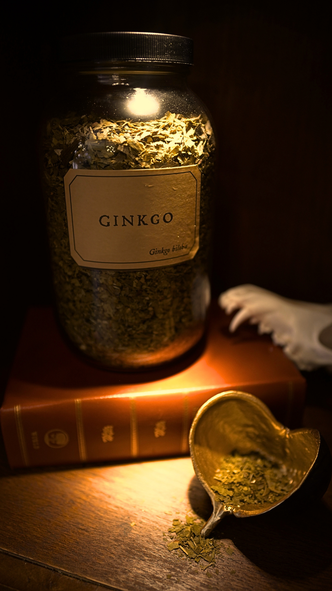 Ginko Leaf