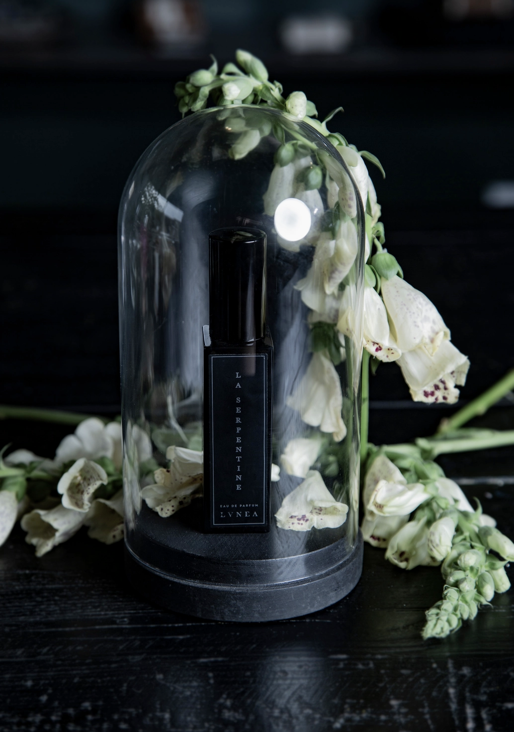 La Serpentine Eau de Parfum by Lvnea