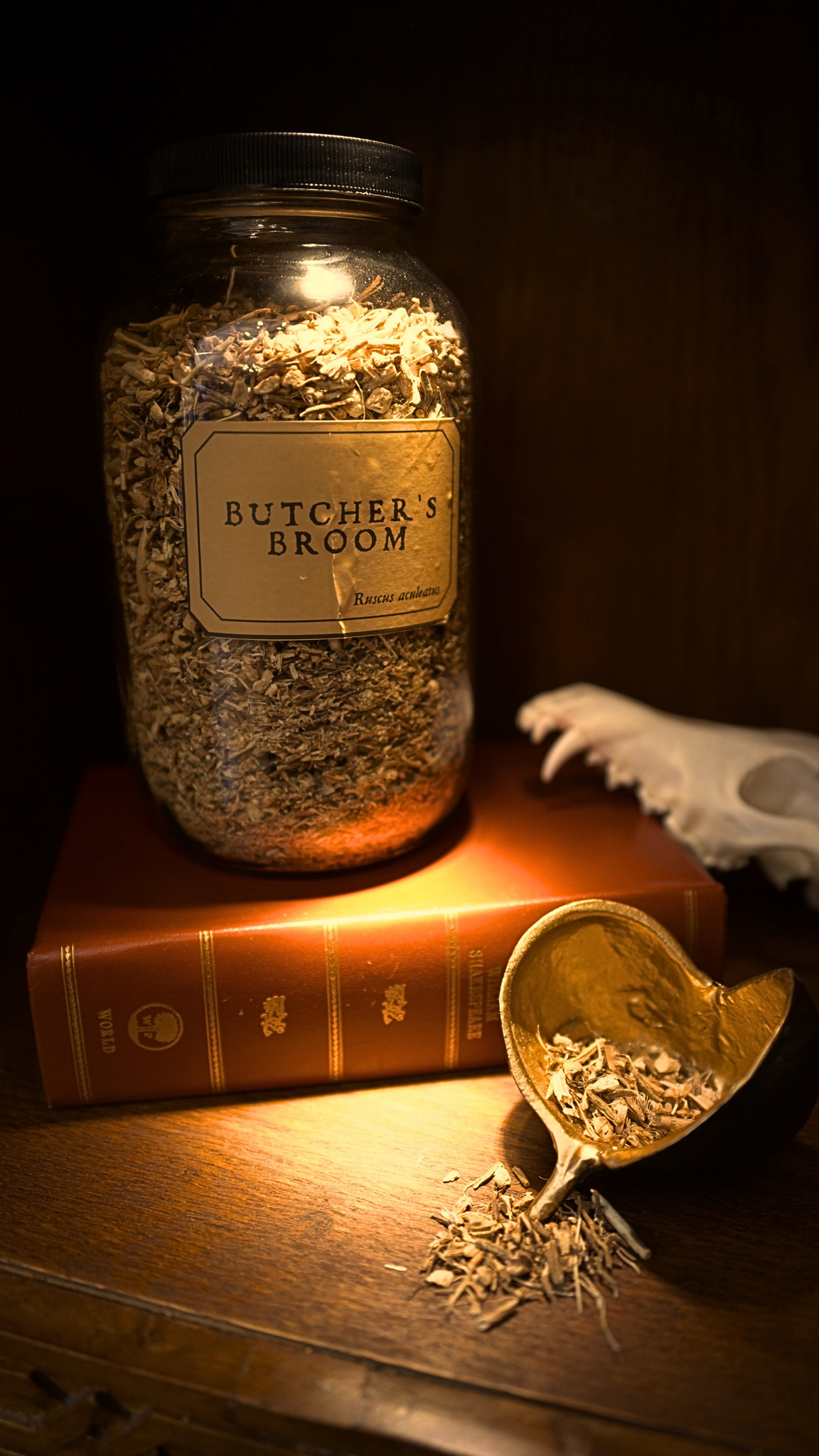 Butcher's Broom