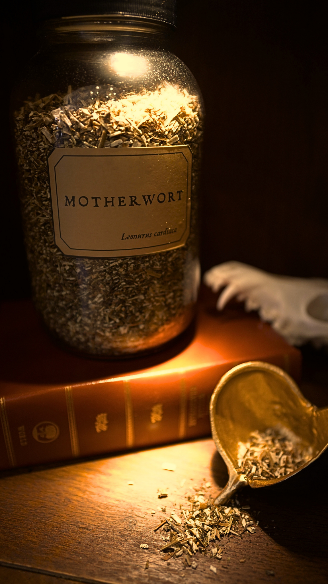 Motherwort
