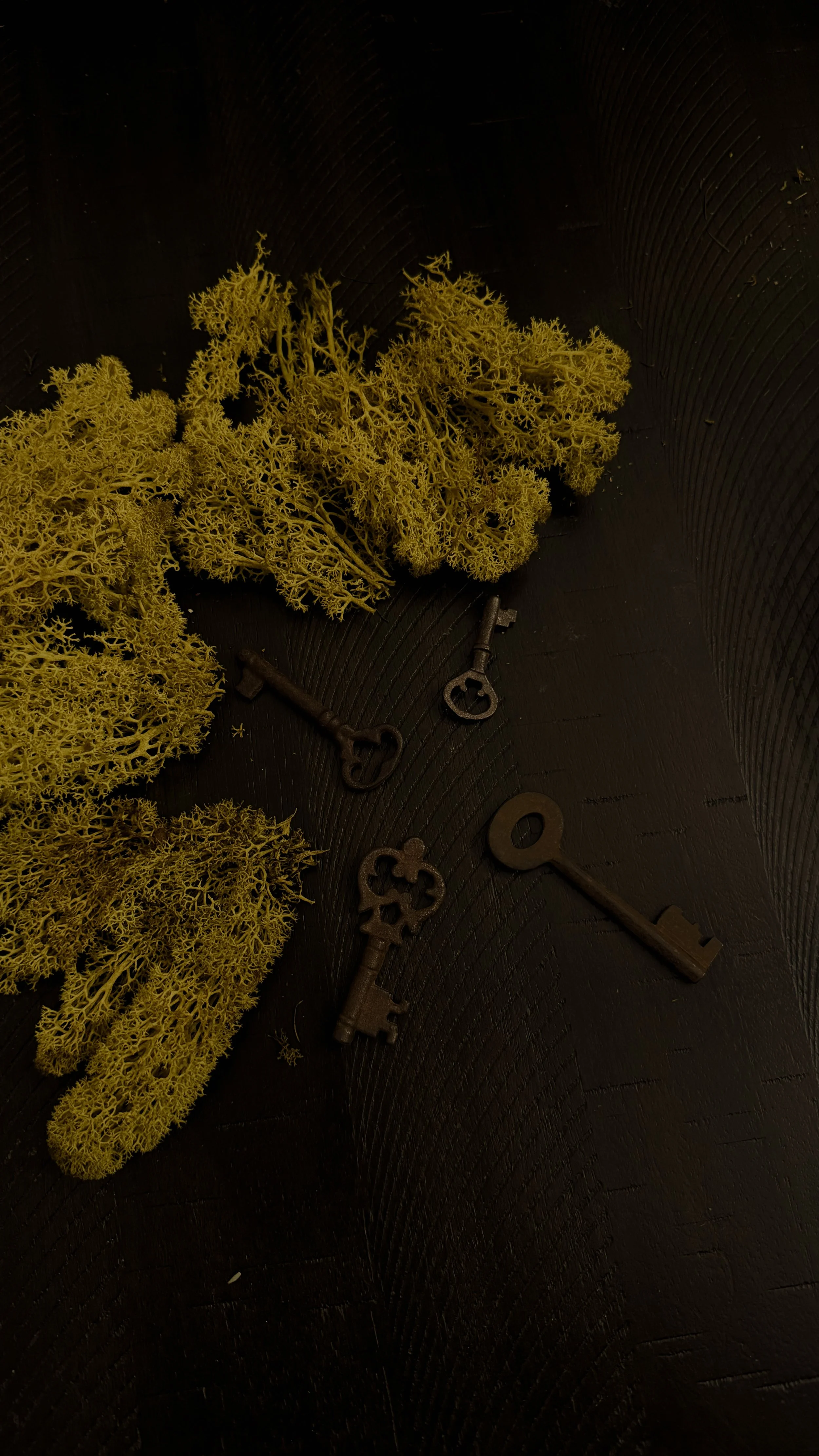 Antique Key