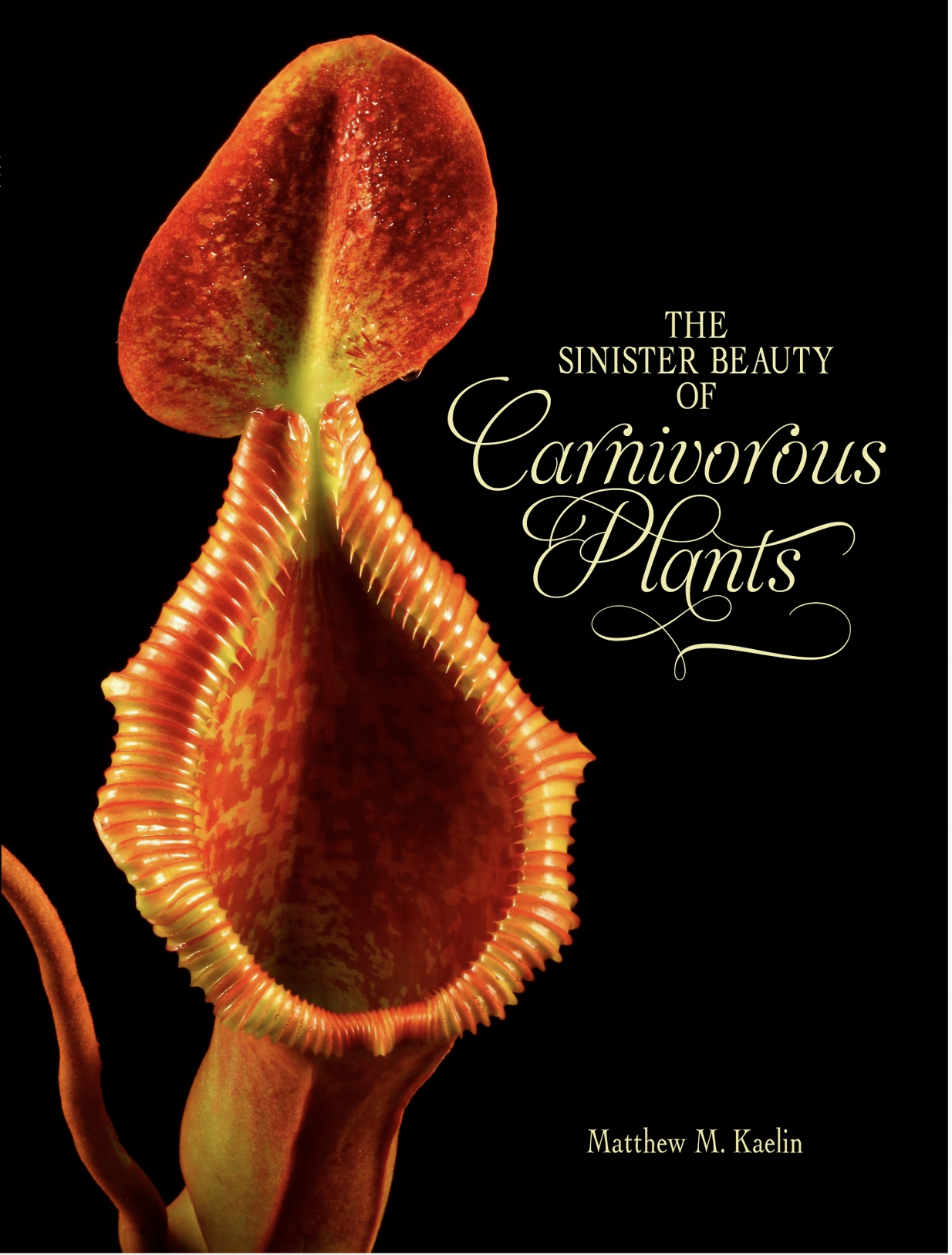 The Sinister Beauty of Carnivorous Plants