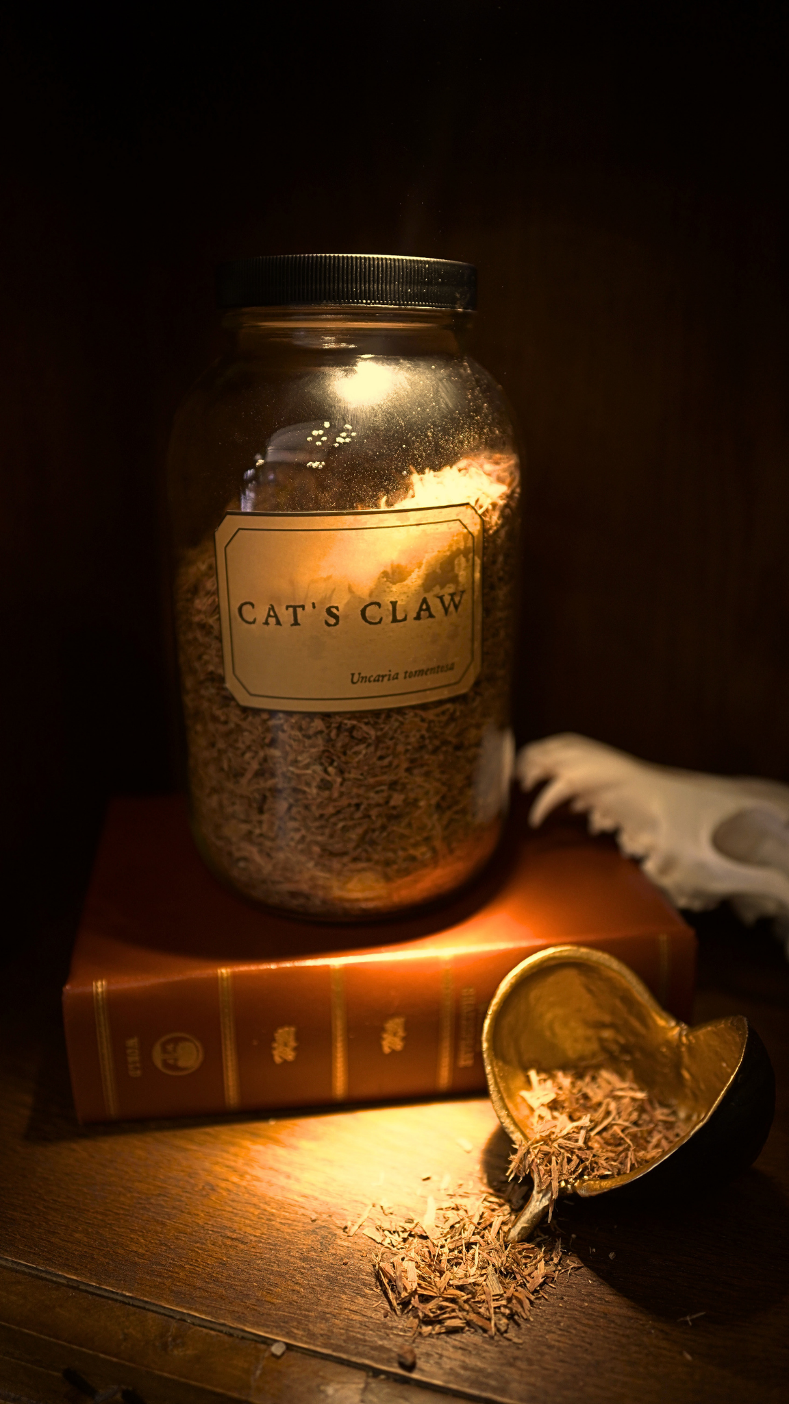 Cat's Claw Bark