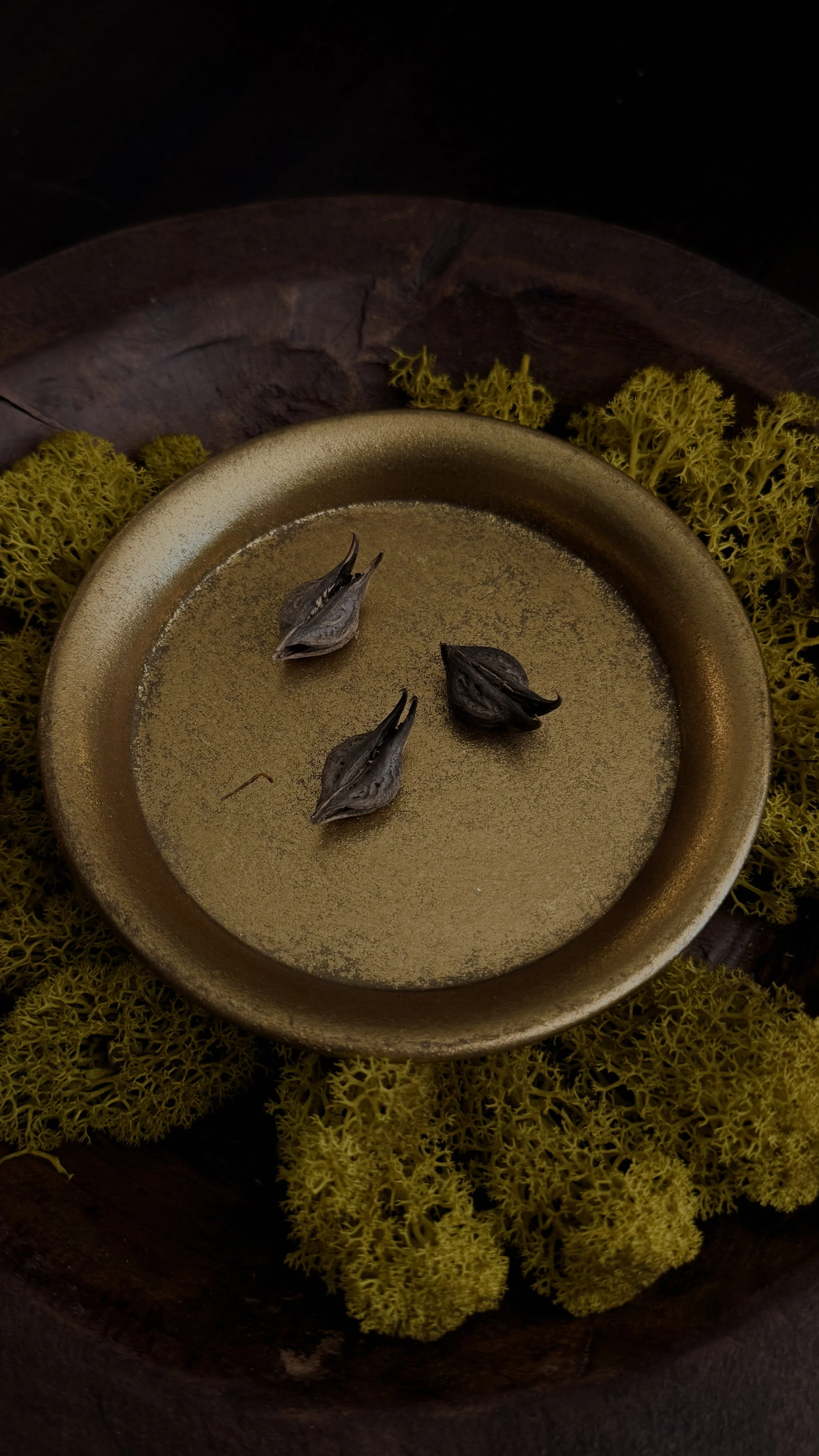 Devils Claw/Cats Claw