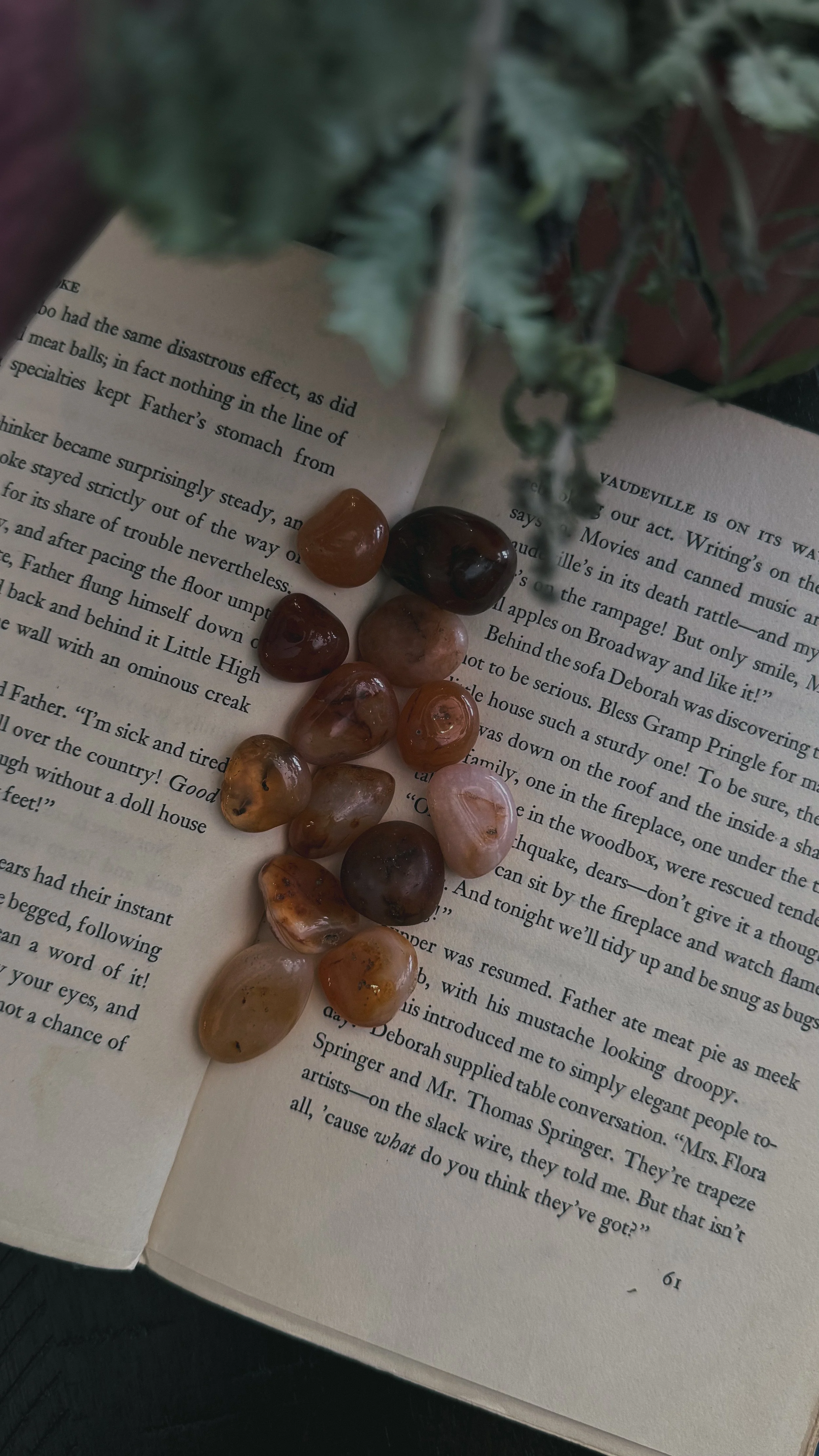 Carnelian - Tumbled