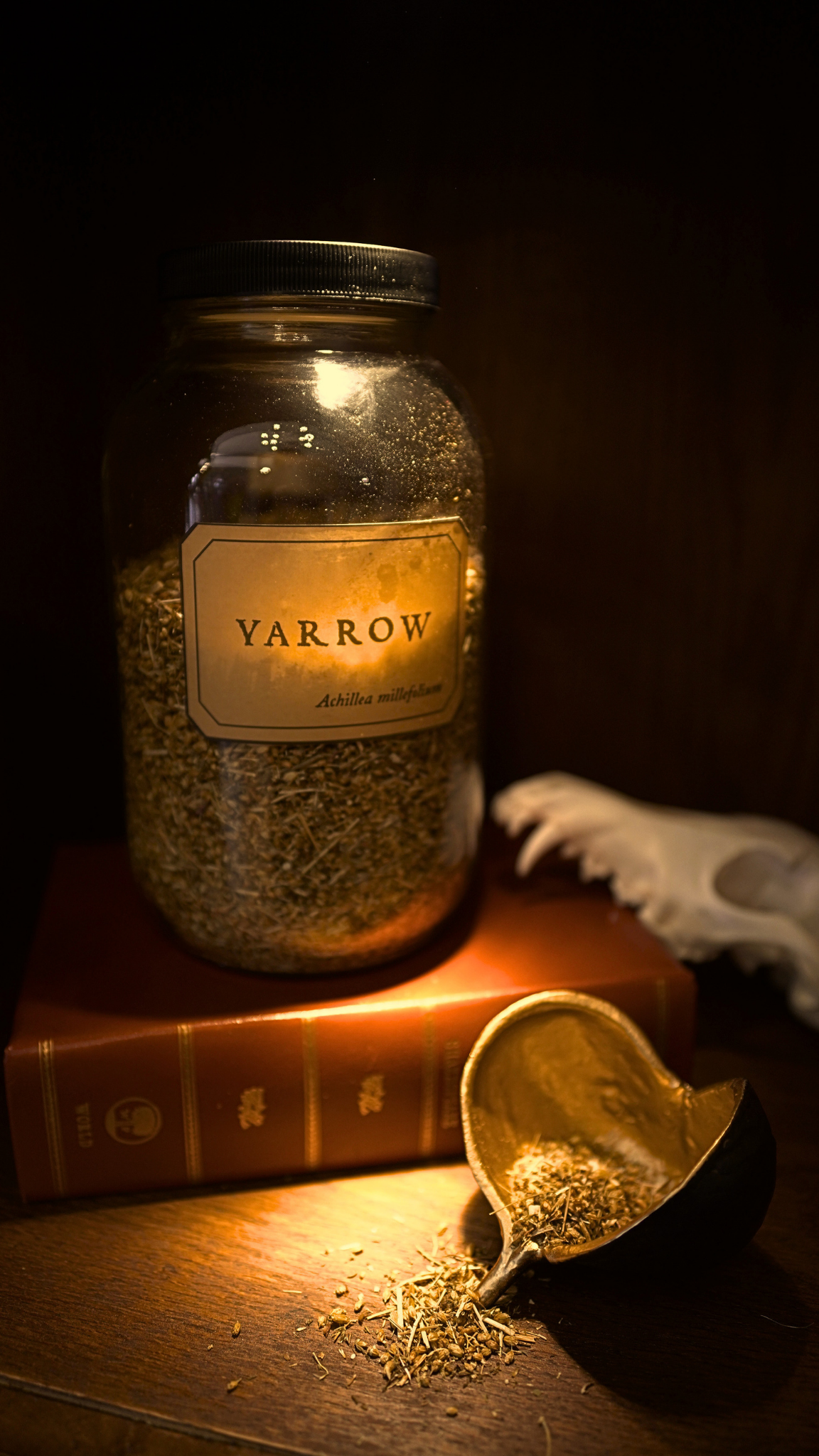 Yarrow